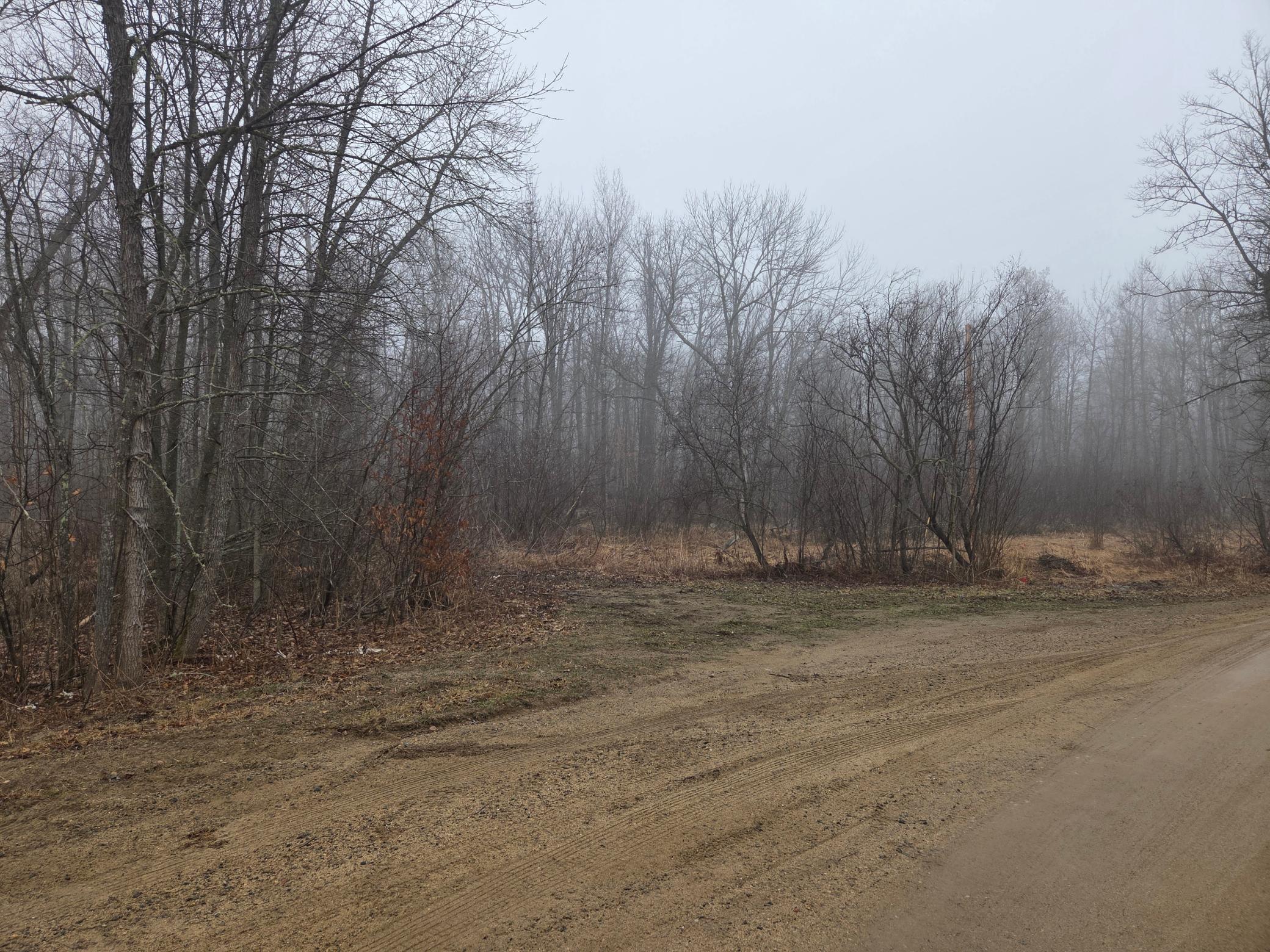 Tbd County 11 Property Photo 4