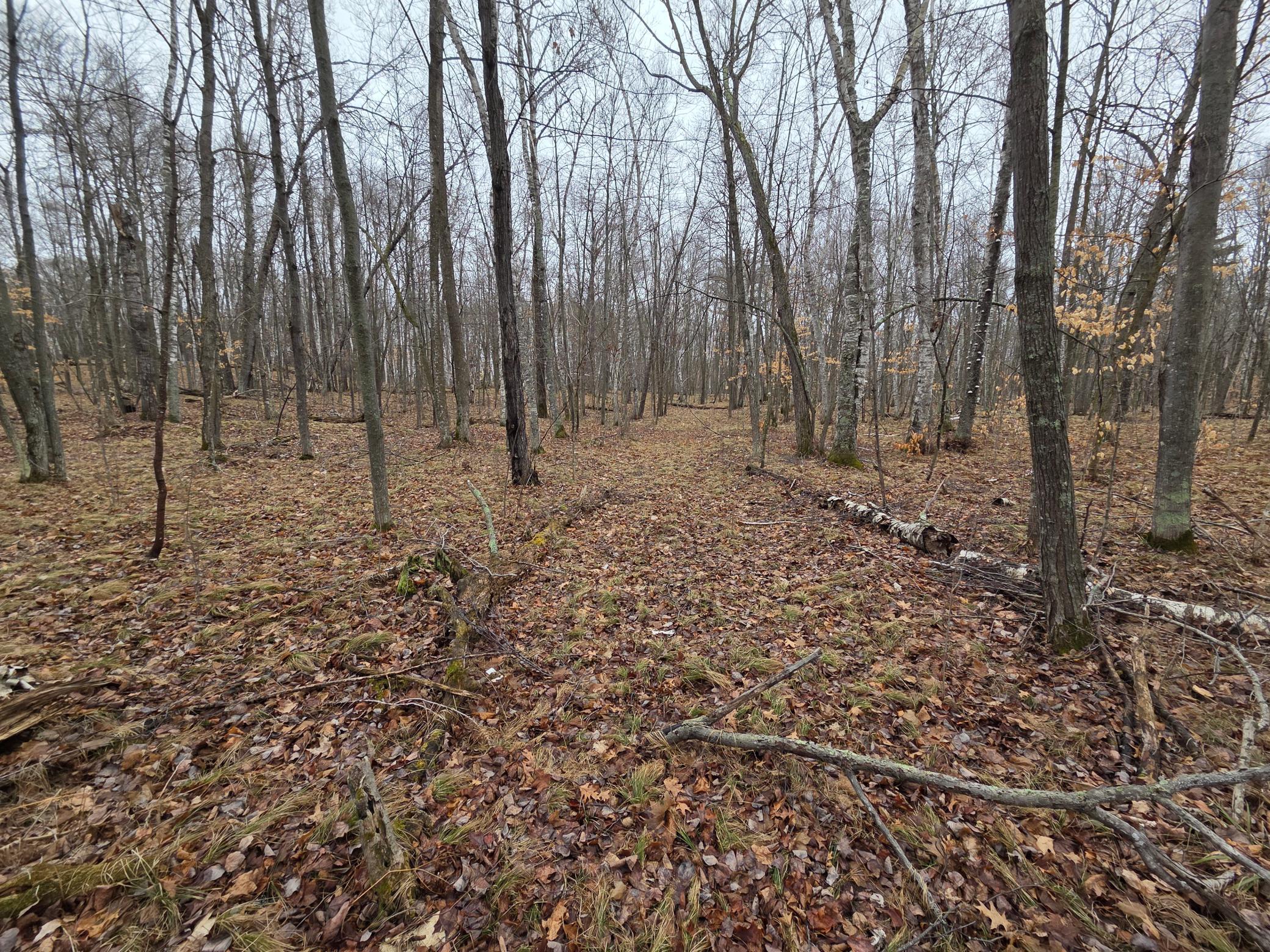 Tbd County 11 Property Photo 6