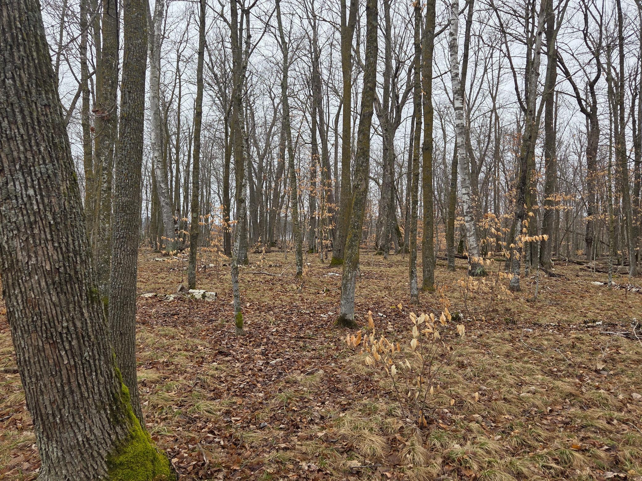 Tbd County 11 Property Photo 7