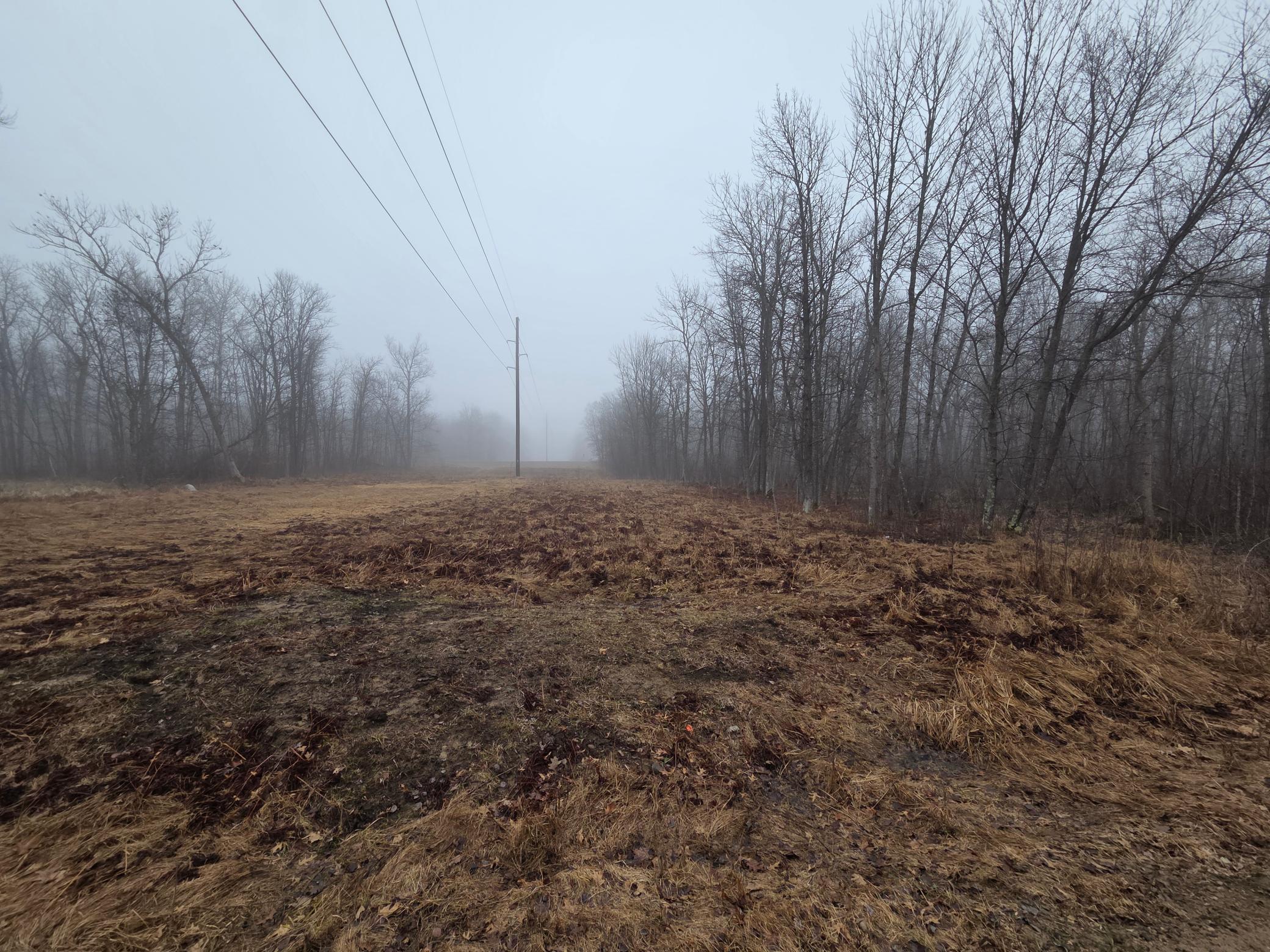 Tbd County 11 Property Photo 9