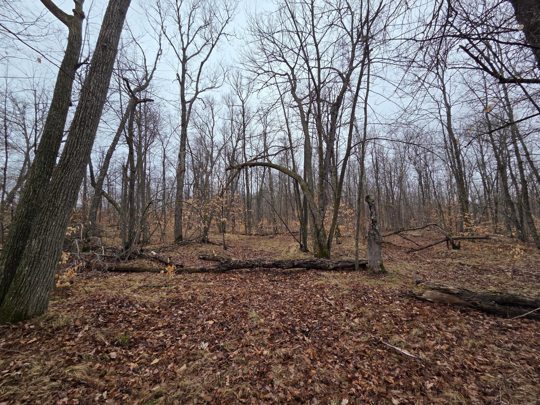 Tbd County 11 Property Photo 10