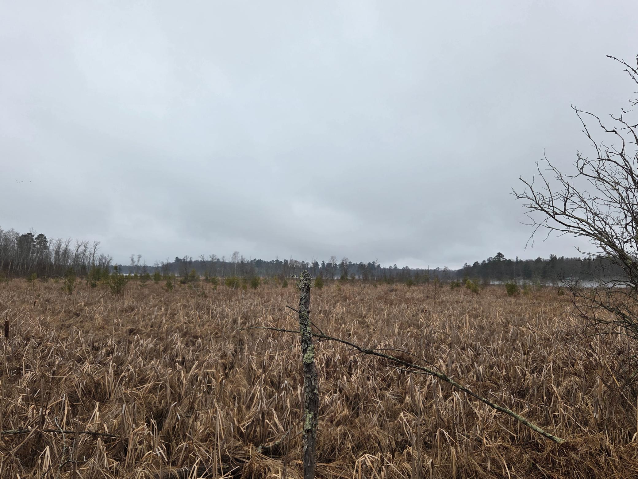 Tbd County 11 Property Photo 12