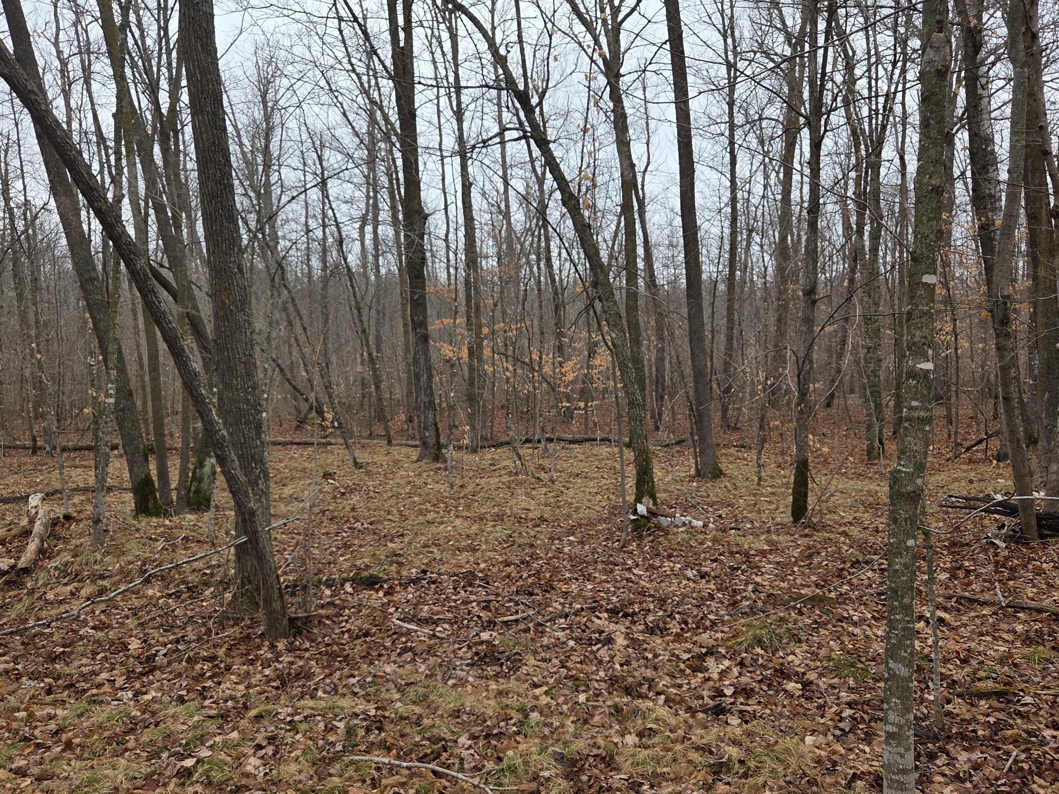 Tbd County 11 Property Photo 13