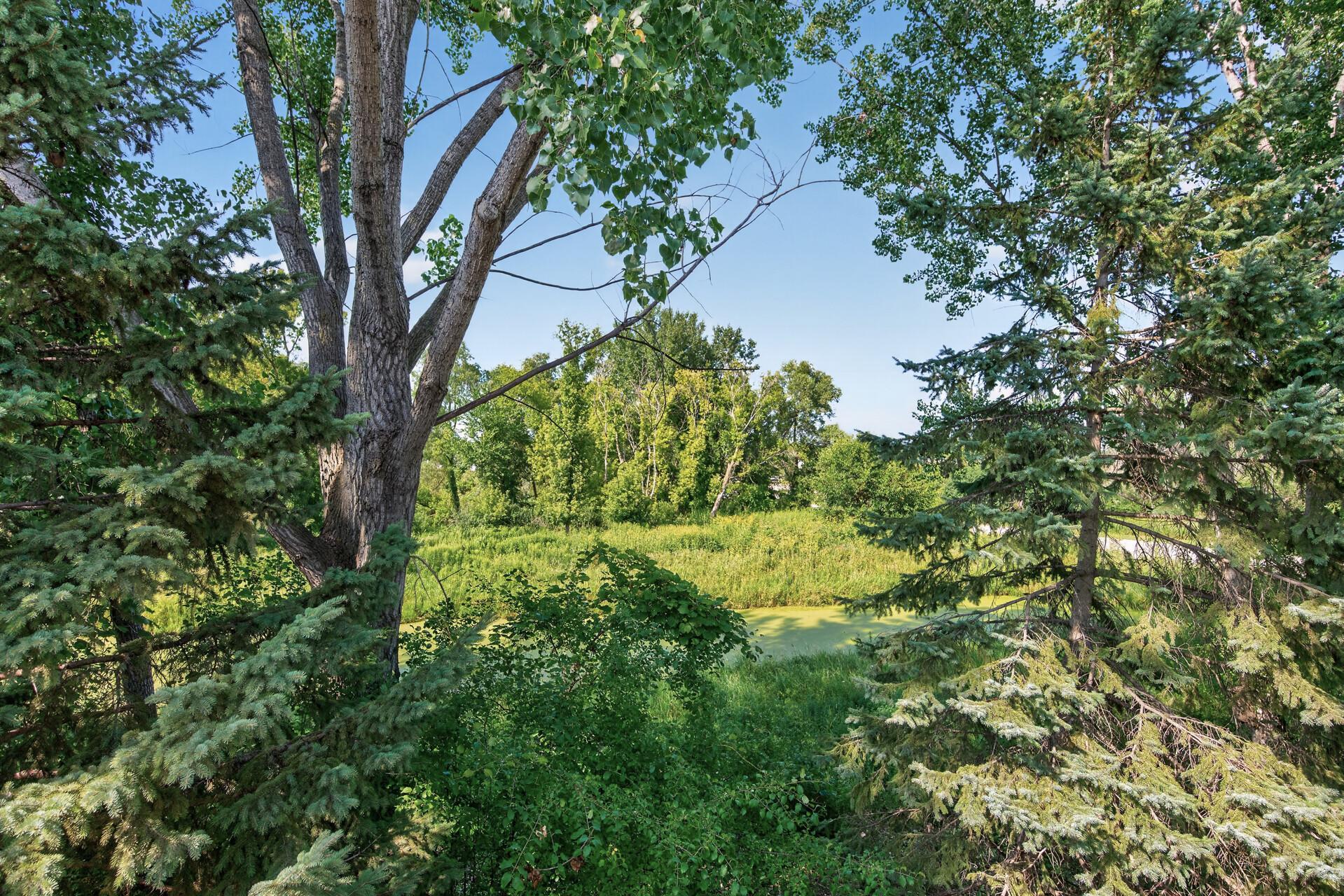 8808 Preserve Trail Property Photo 47