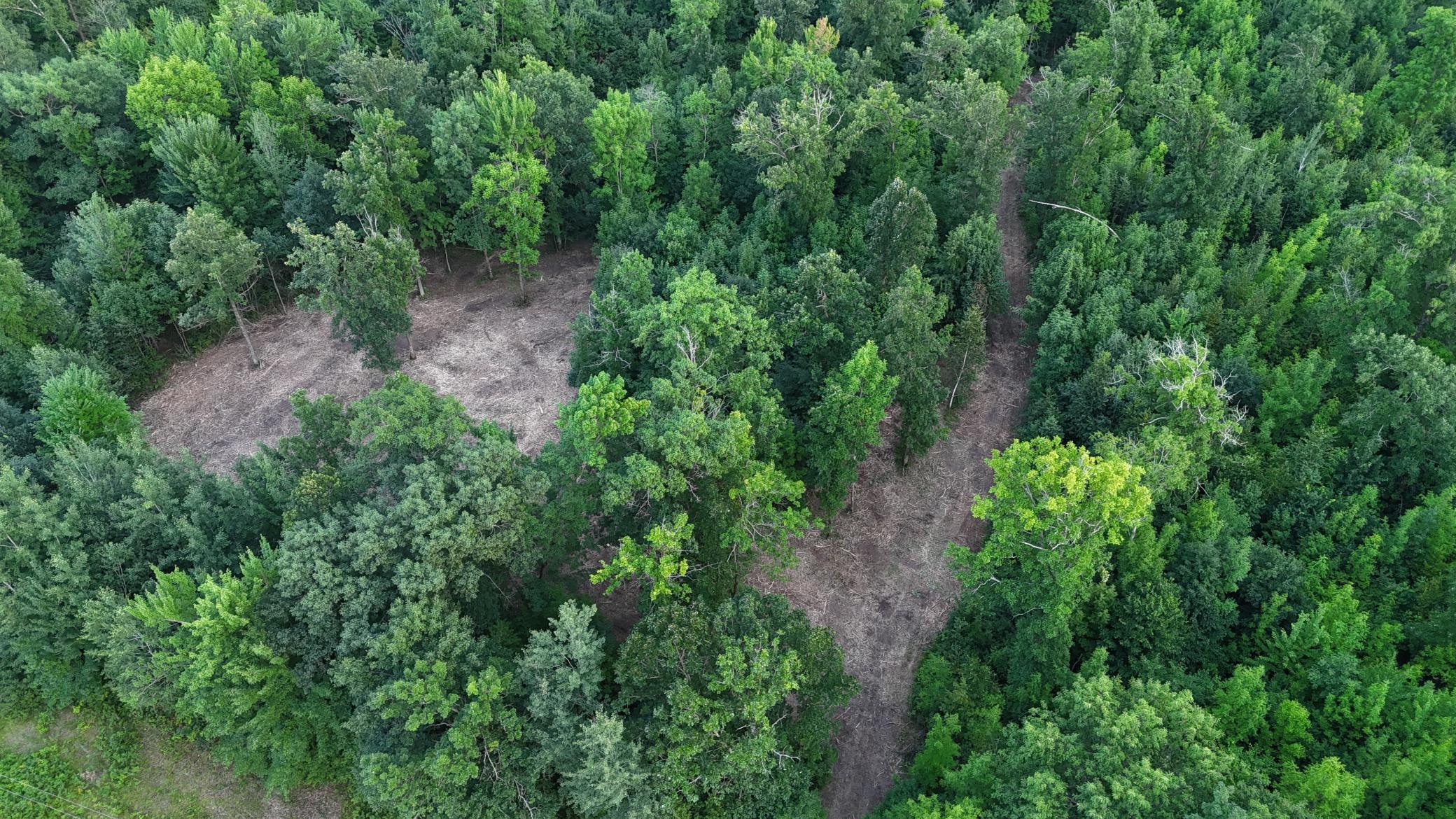 Tbd Old Ferry Road Property Photo 1