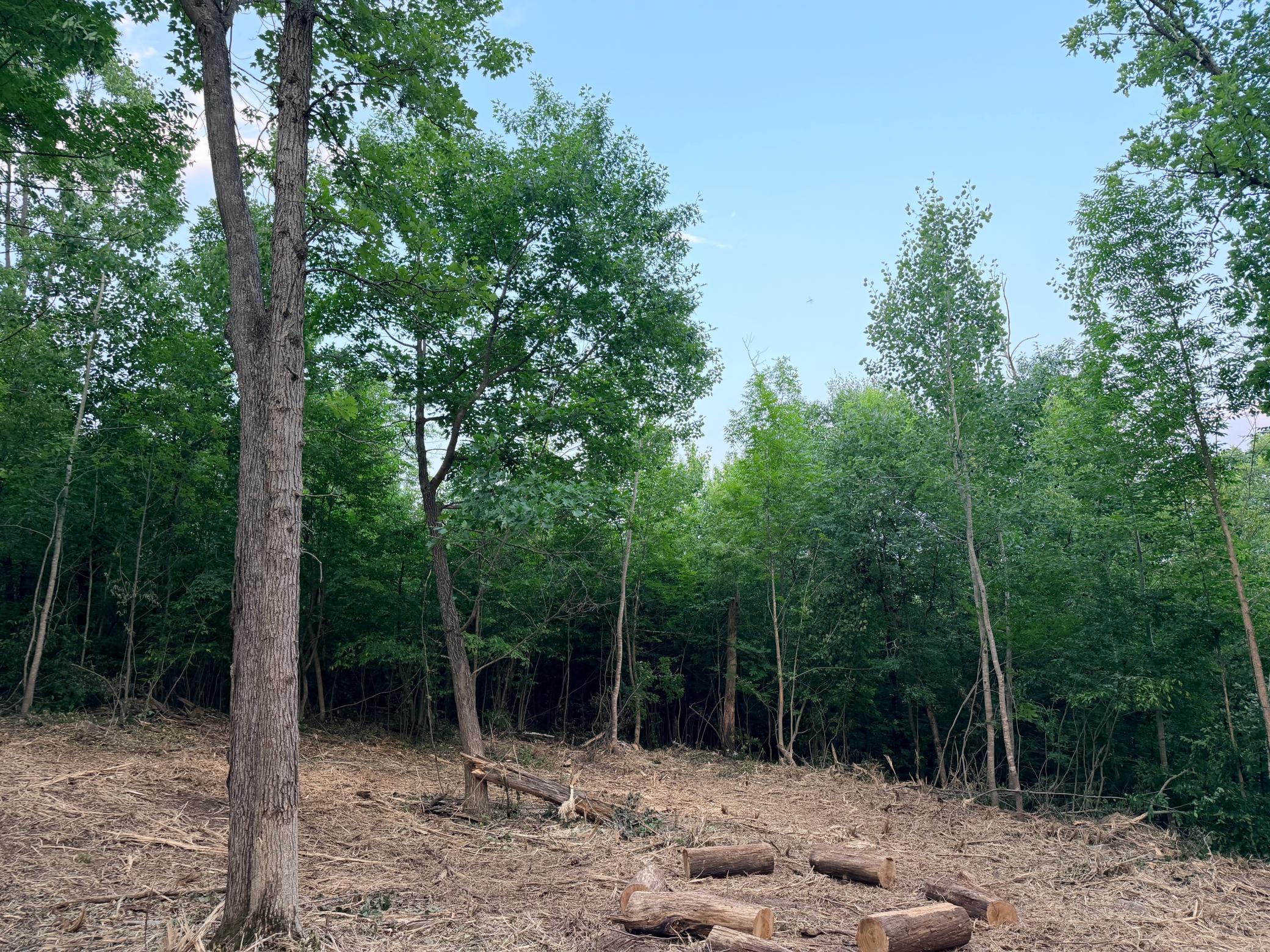 Tbd Old Ferry Road Property Photo 7