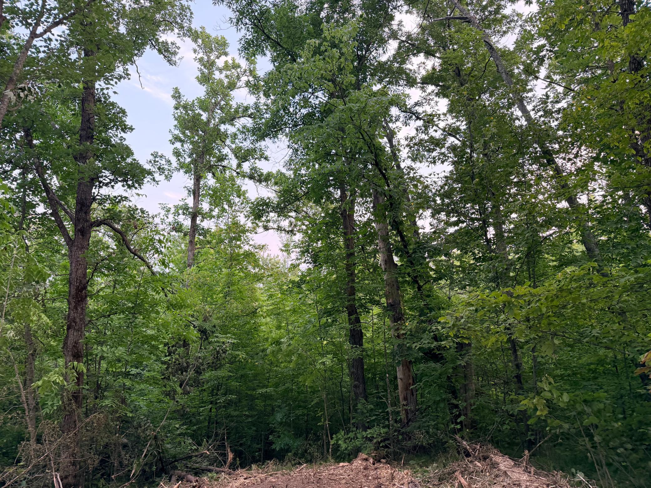 Tbd Old Ferry Road Property Photo 8