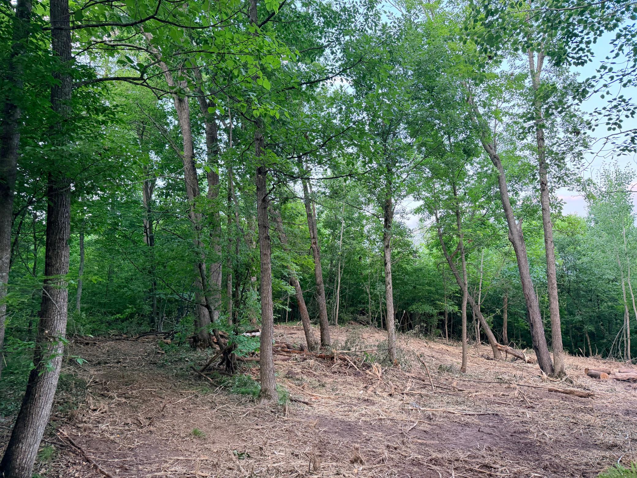 Tbd Old Ferry Road Property Photo 10
