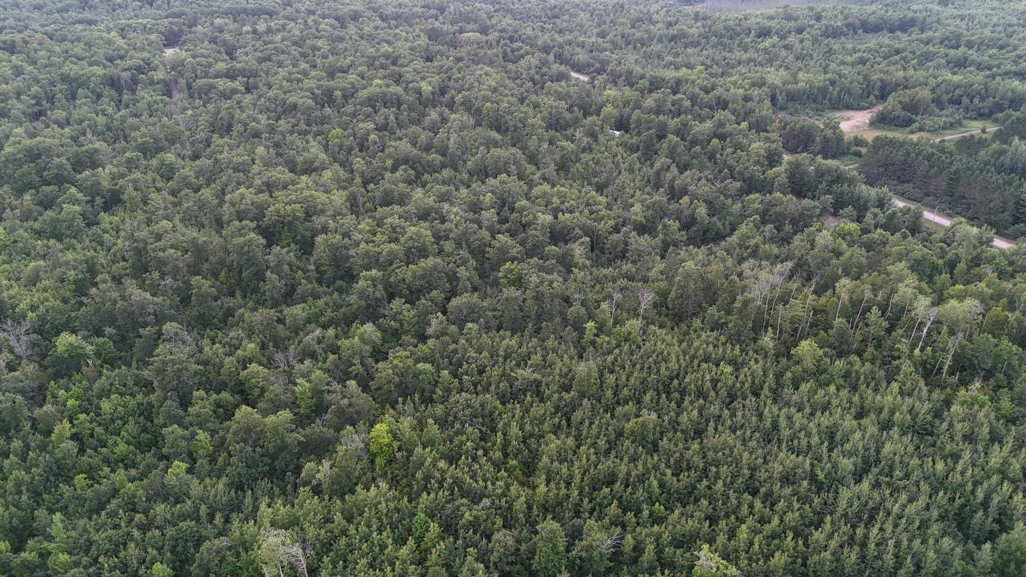 Tbd Old Ferry Road Property Photo 13