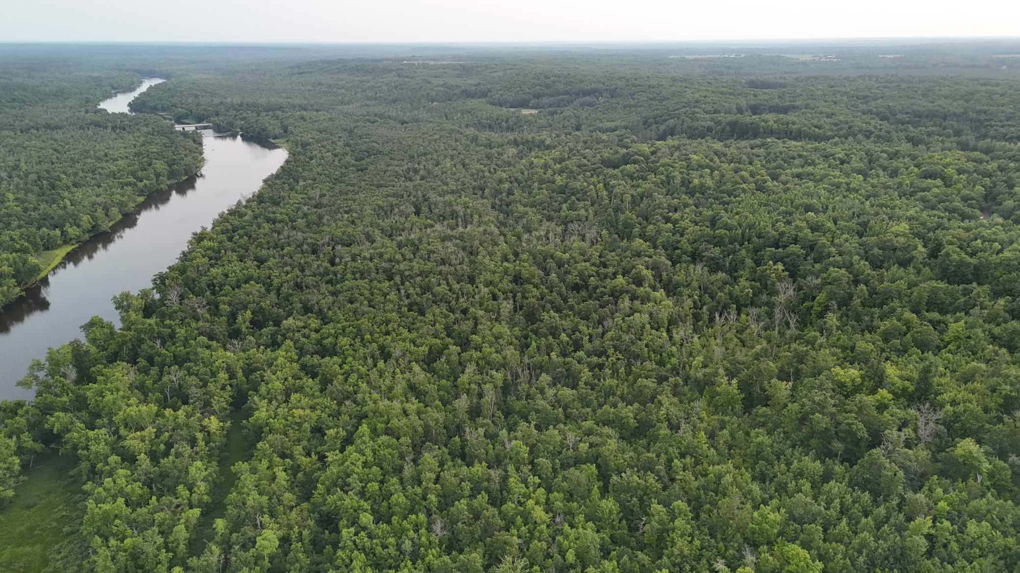 Tbd Old Ferry Road Property Photo 14