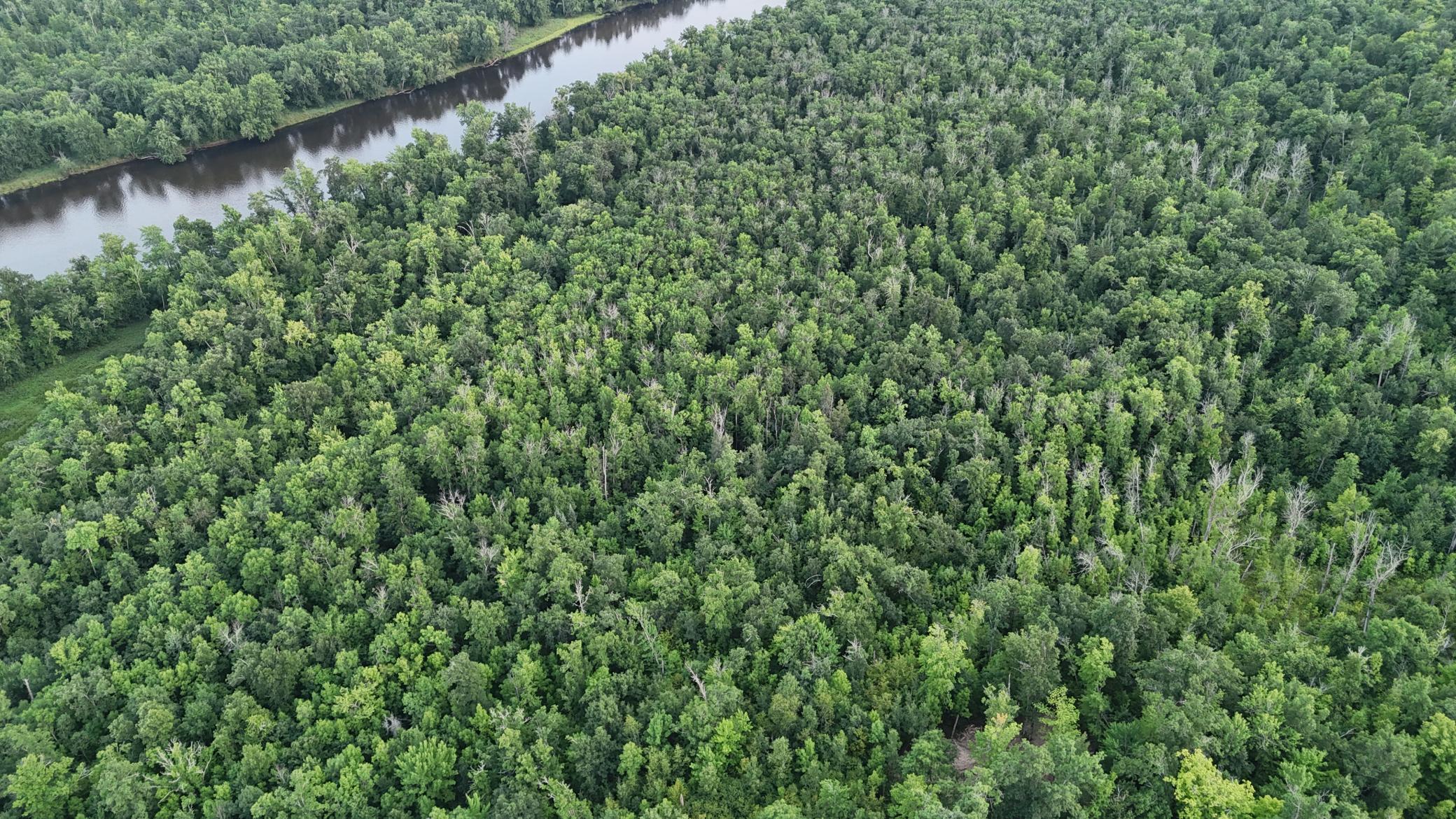 Tbd Old Ferry Road Property Photo 17