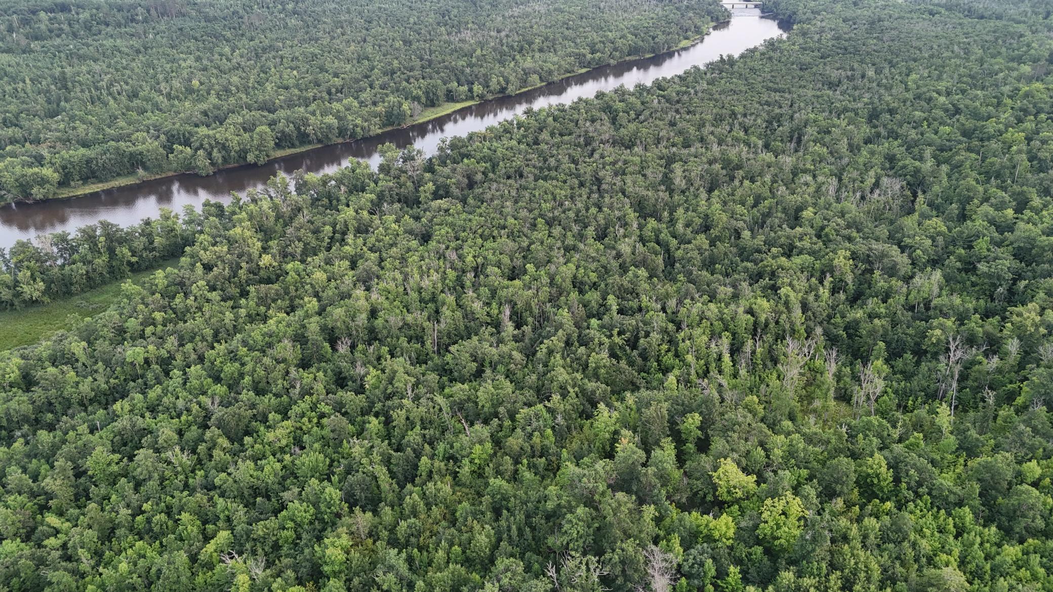 Tbd Old Ferry Road Property Photo 18