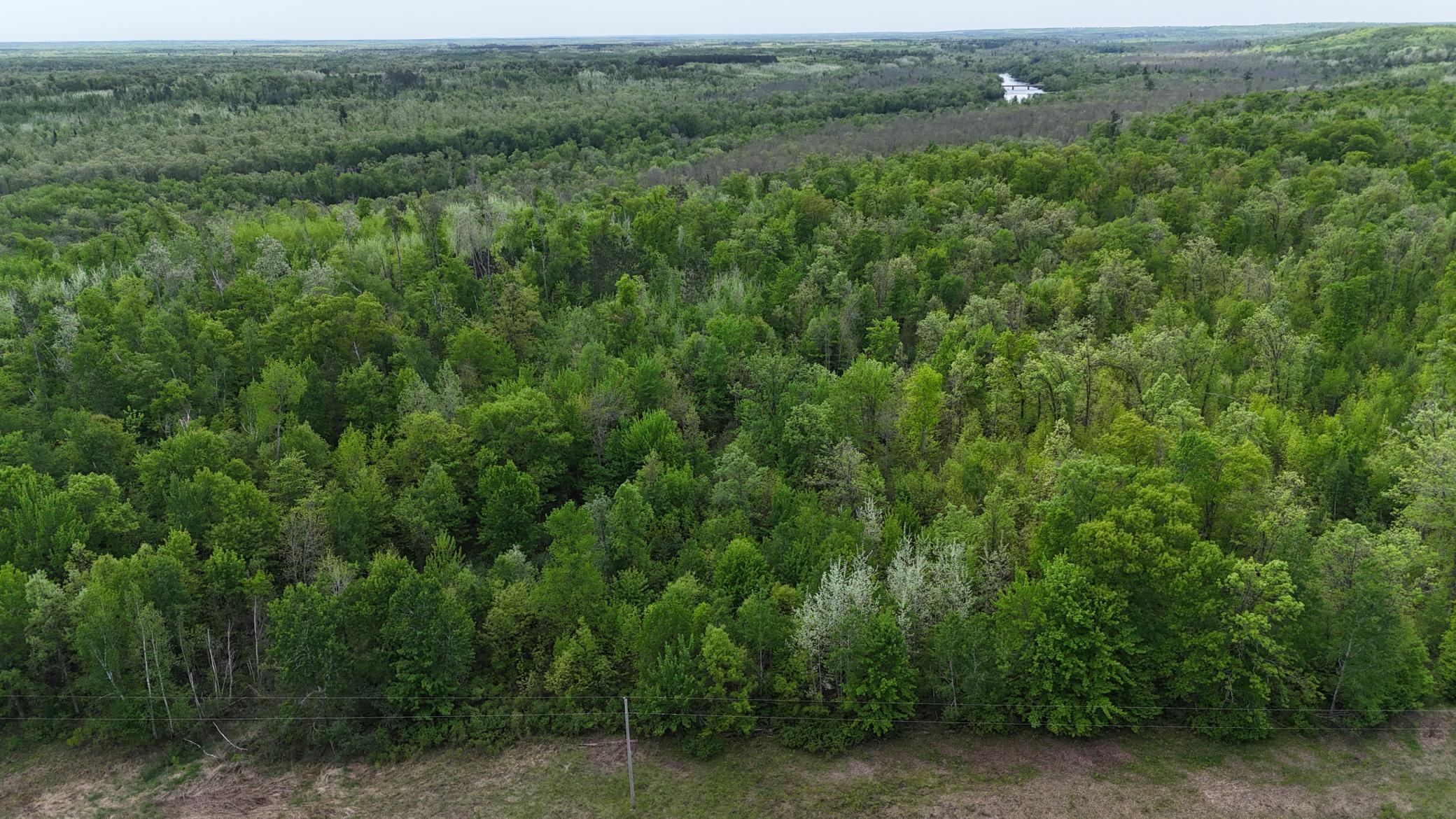 Tbd Old Ferry Road Property Photo 19