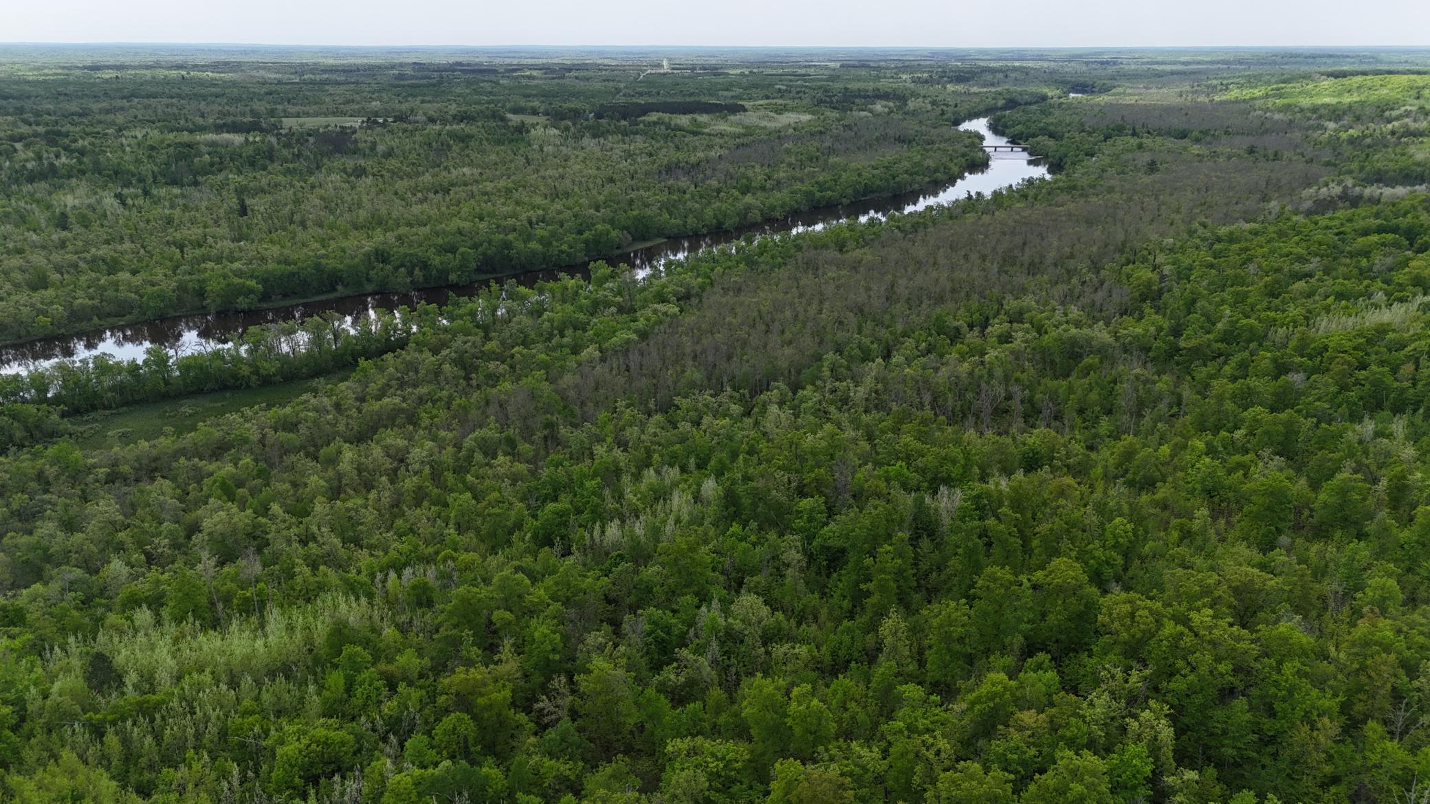 Tbd Old Ferry Road Property Photo 21