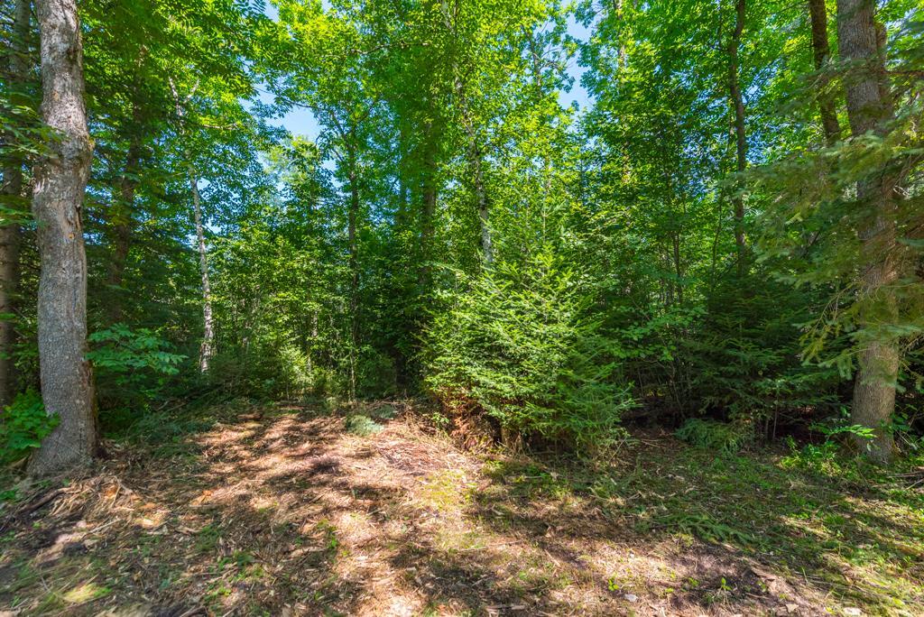 575 S Lake Lawrence Road Ne Property Photo 17
