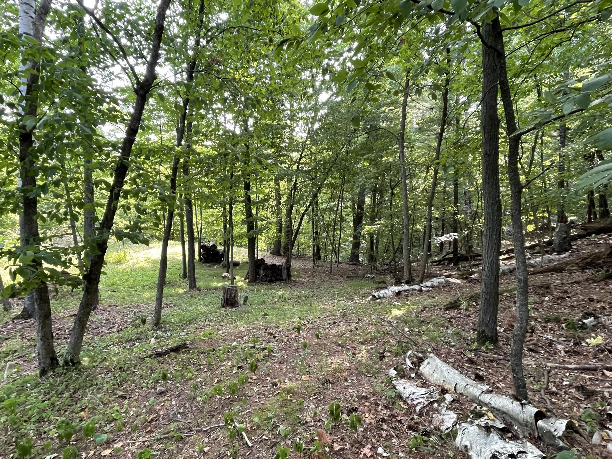 16574 Riverside Drive Property Photo 6