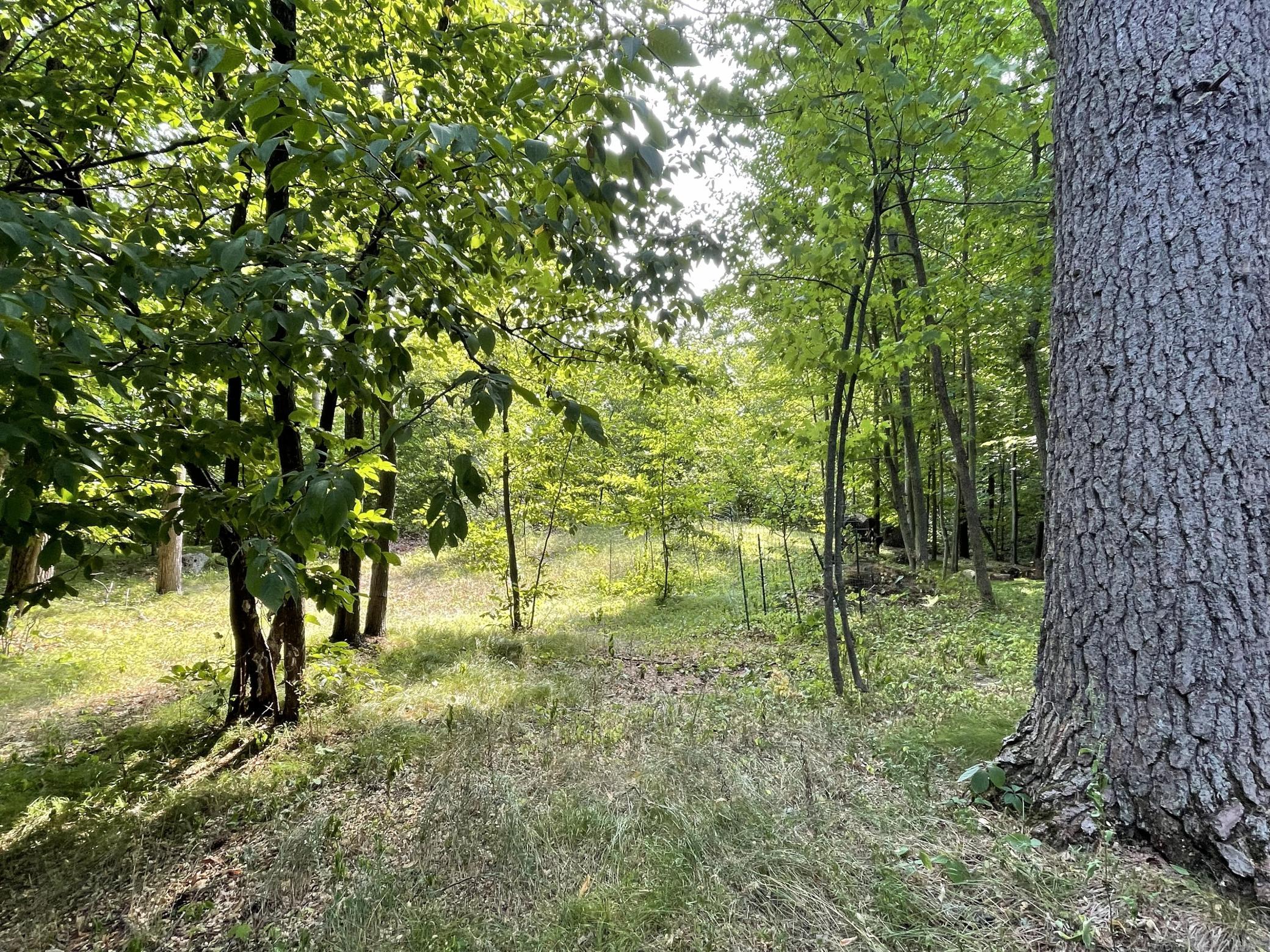 16574 Riverside Drive Property Photo 8