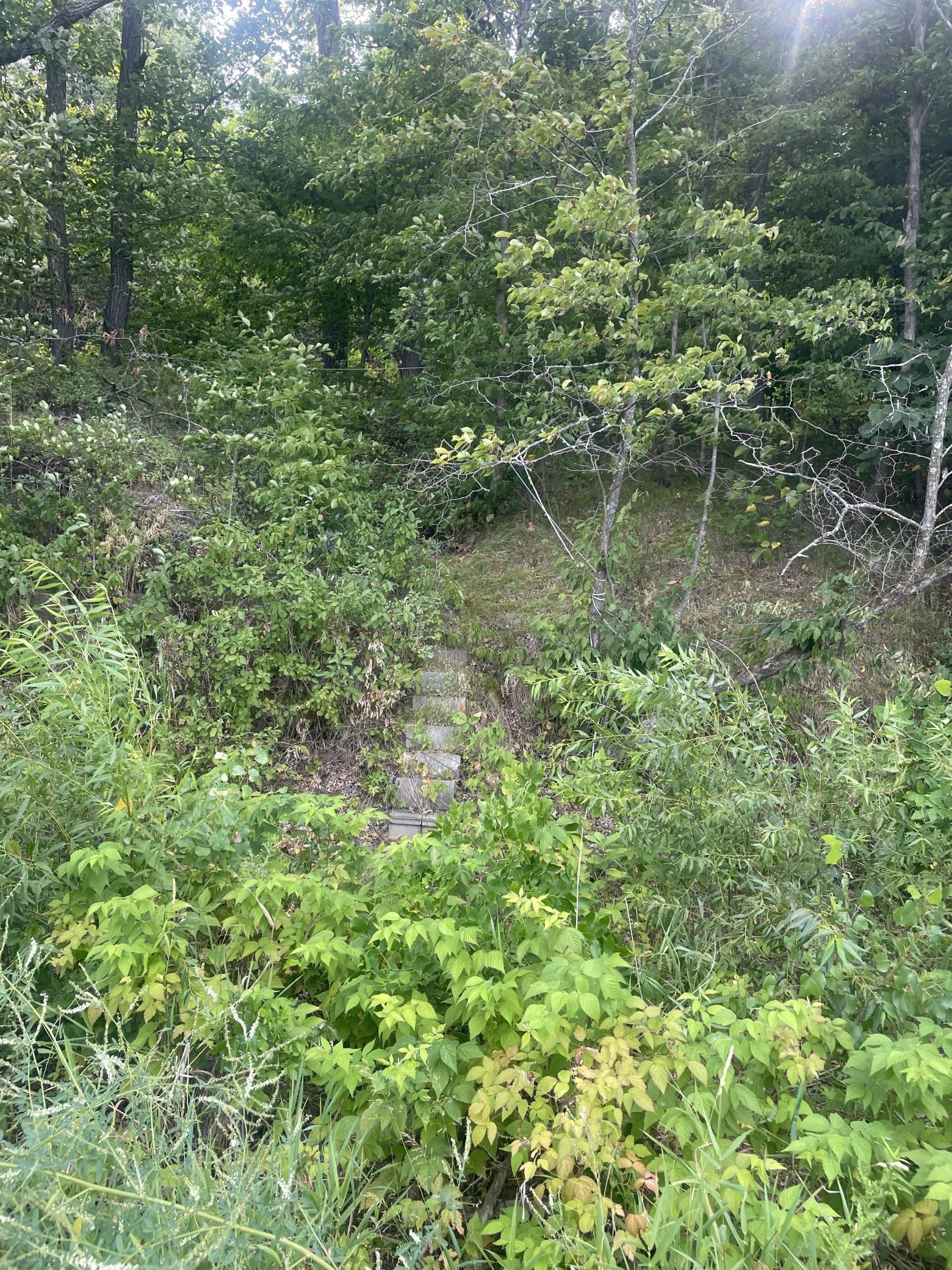 16574 Riverside Drive Property Photo 14