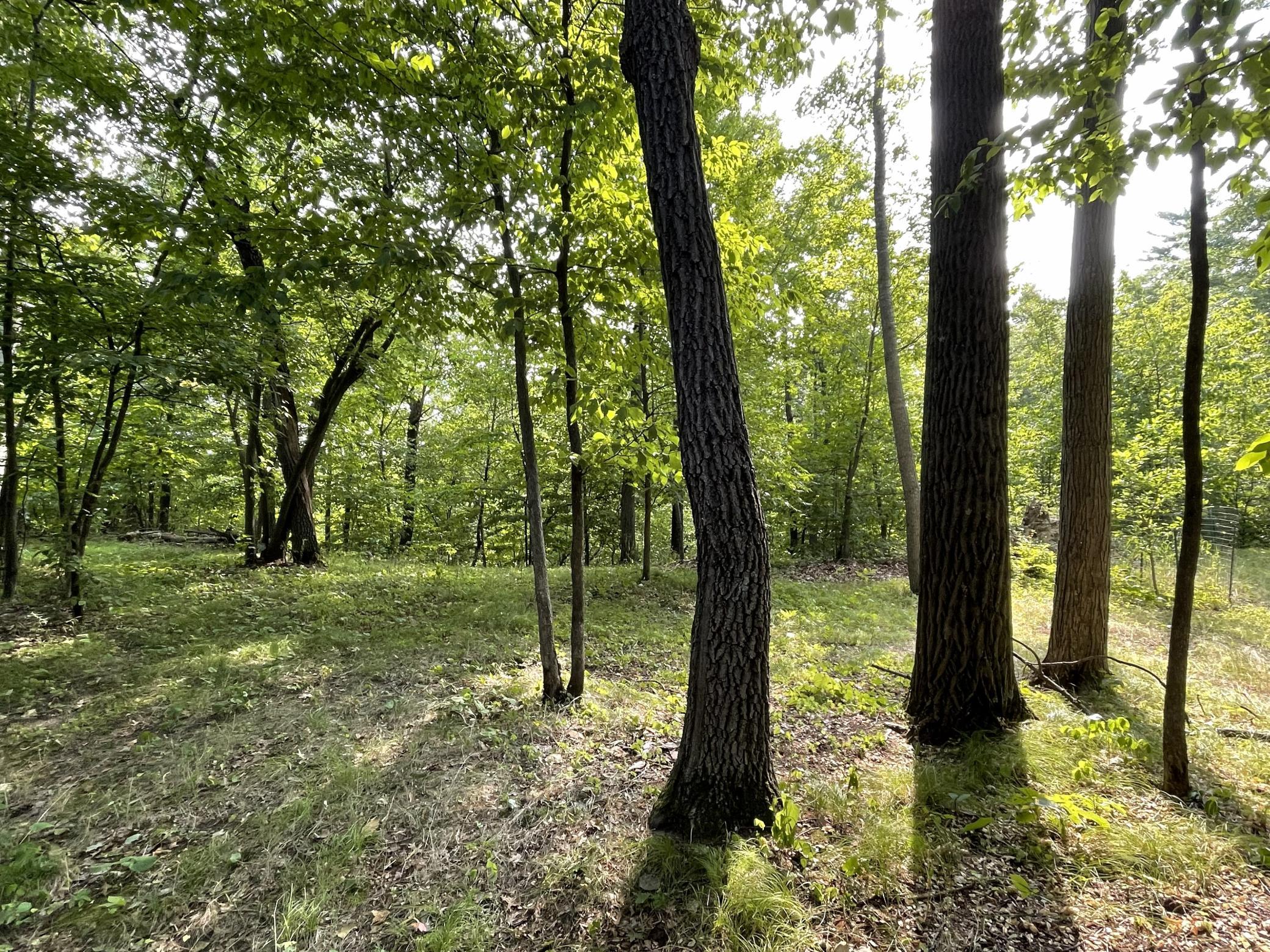 16574 Riverside Drive Property Photo 32