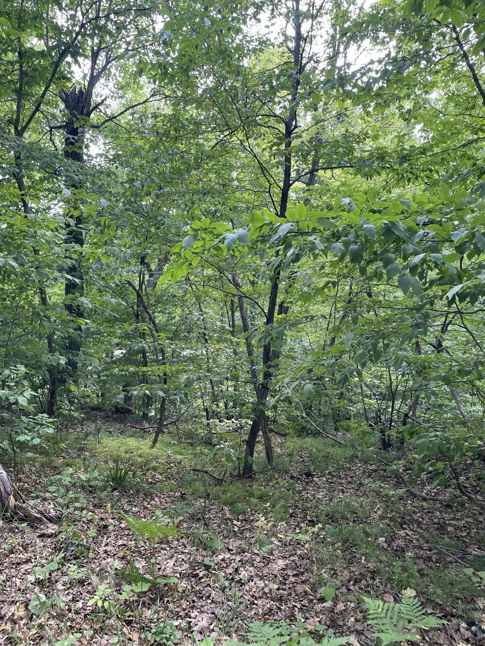 16574 Riverside Drive Property Photo 34