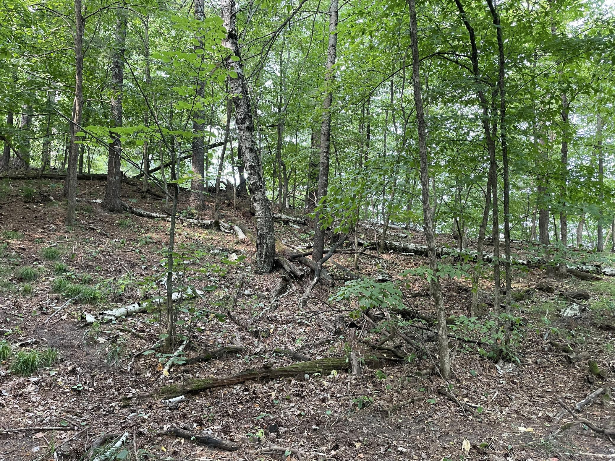 16574 Riverside Drive Property Photo 36