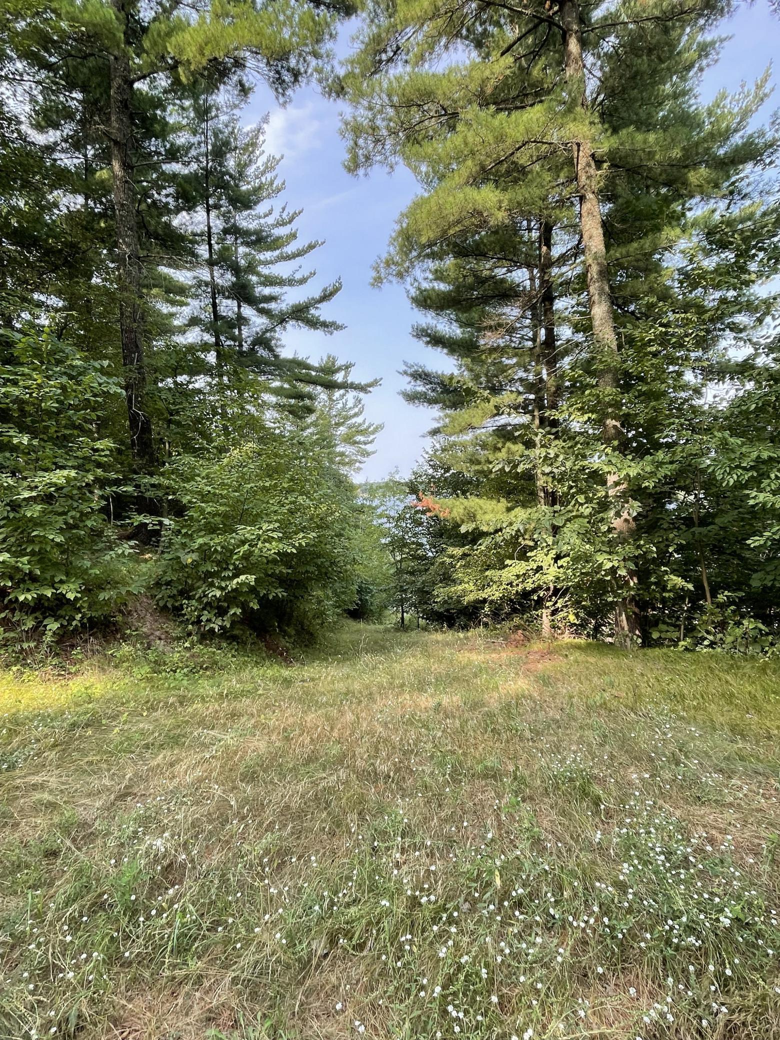 16574 Riverside Drive Property Photo 37