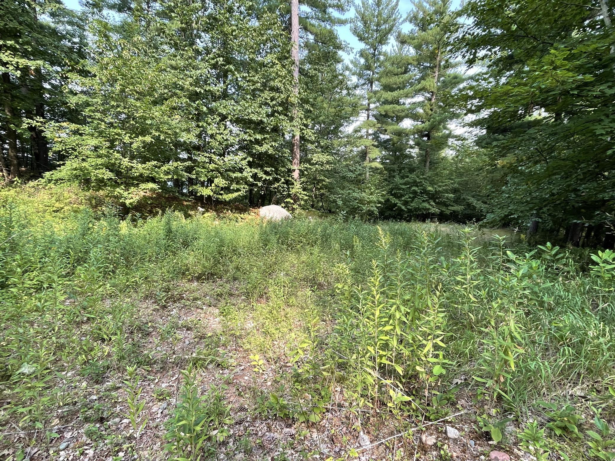 16574 Riverside Drive Property Photo 38