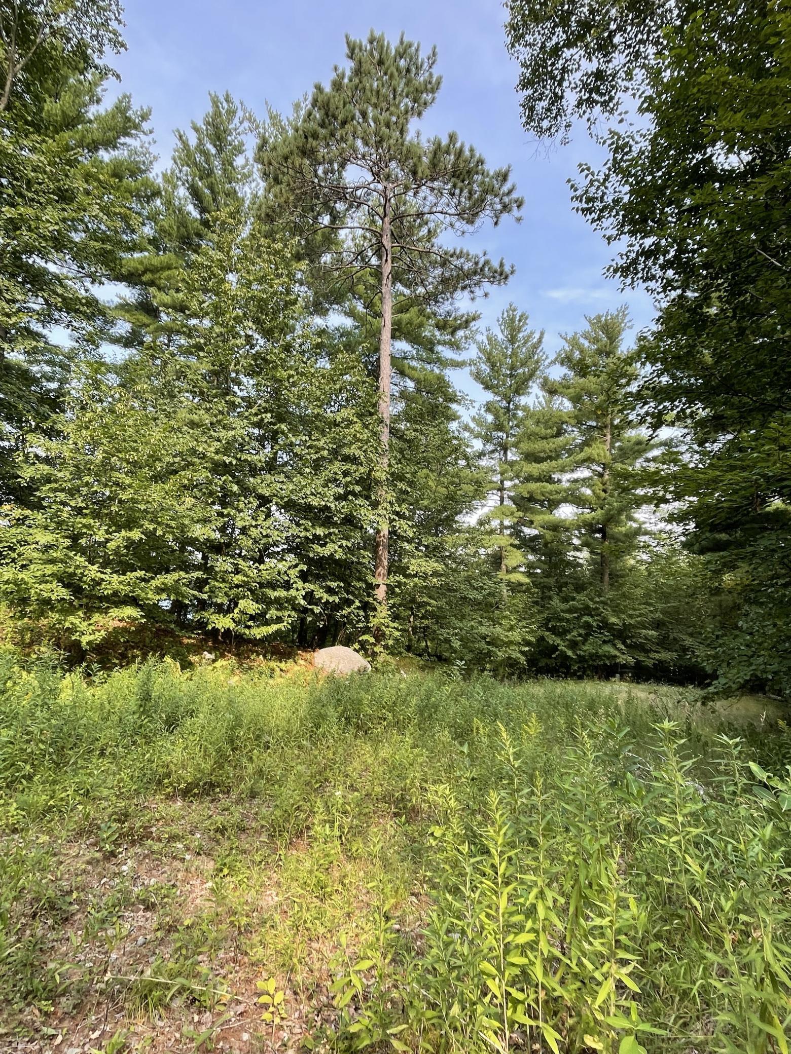 16574 Riverside Drive Property Photo 39