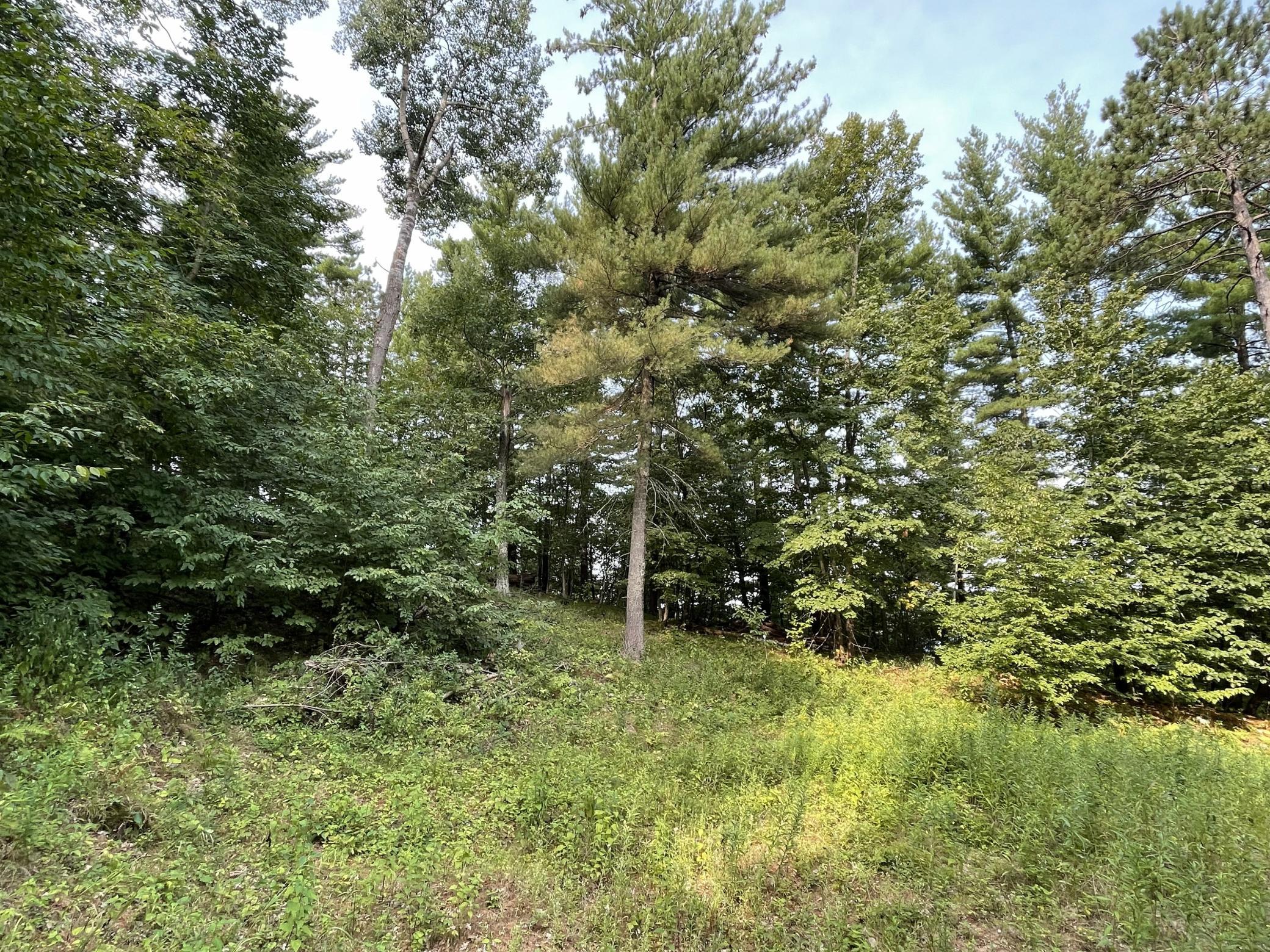 16574 Riverside Drive Property Photo 41