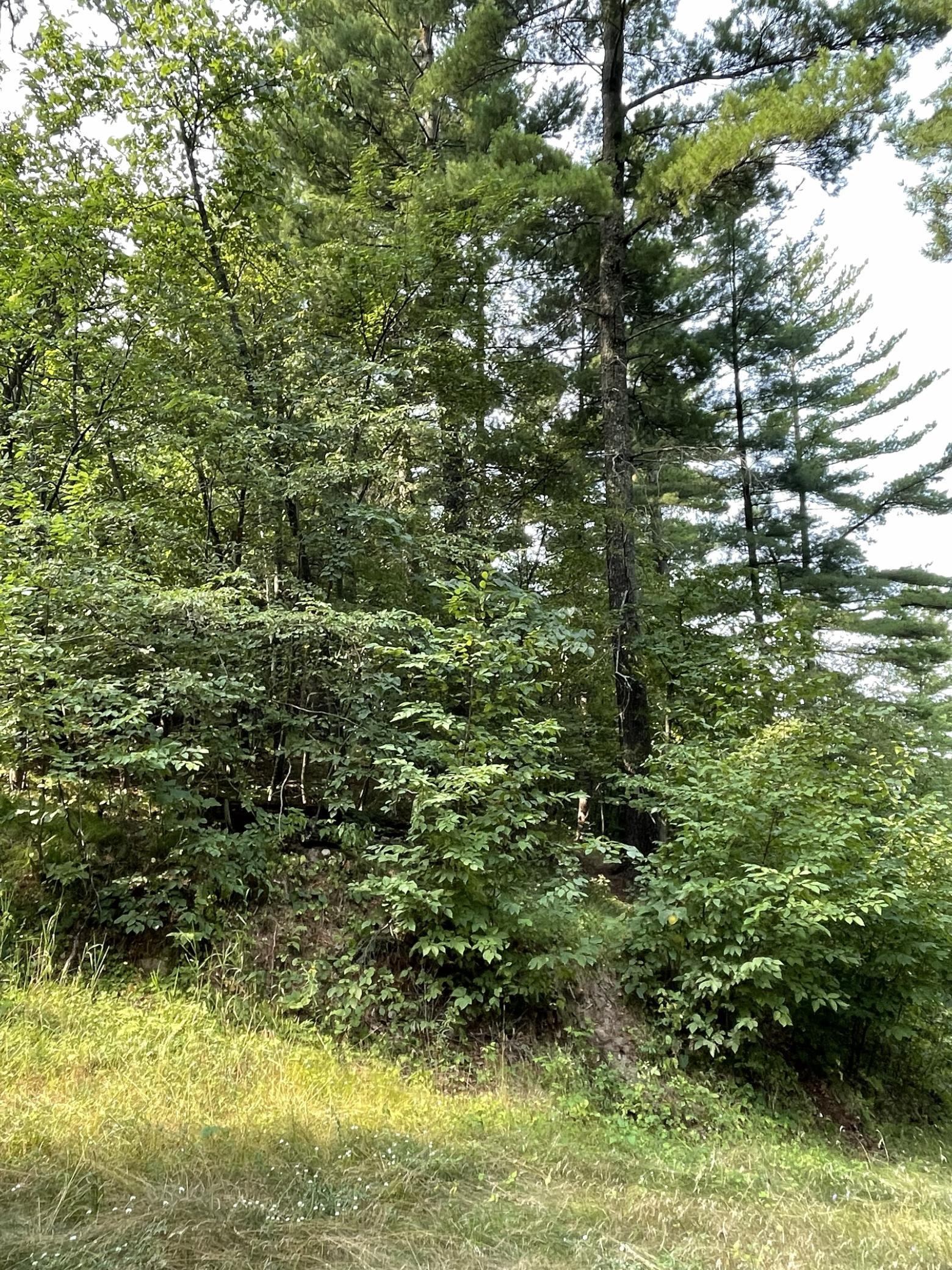 16574 Riverside Drive Property Photo 43
