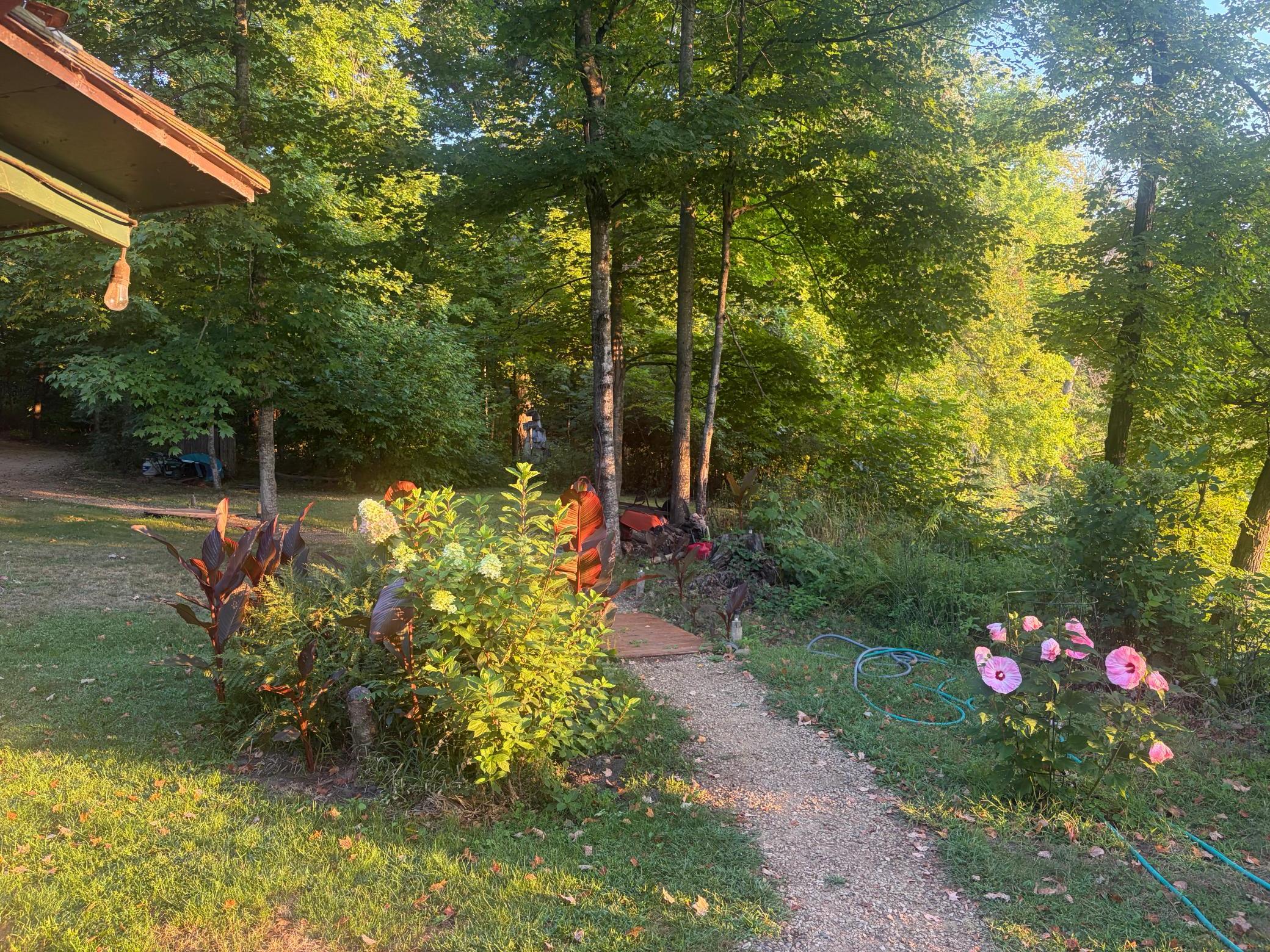 7123598 Property Photo 33