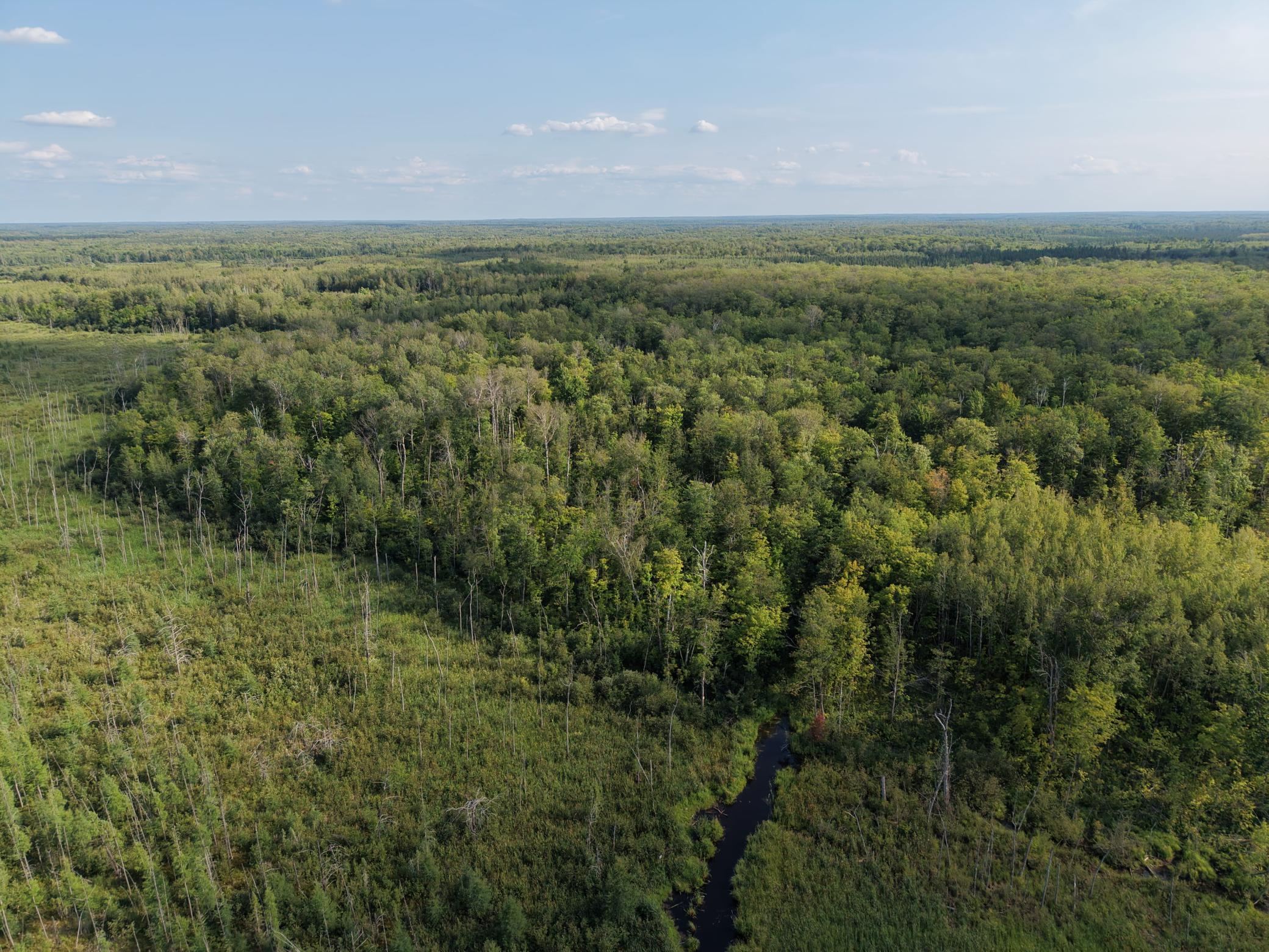 Tbd State Highway 27 Property Photo 3