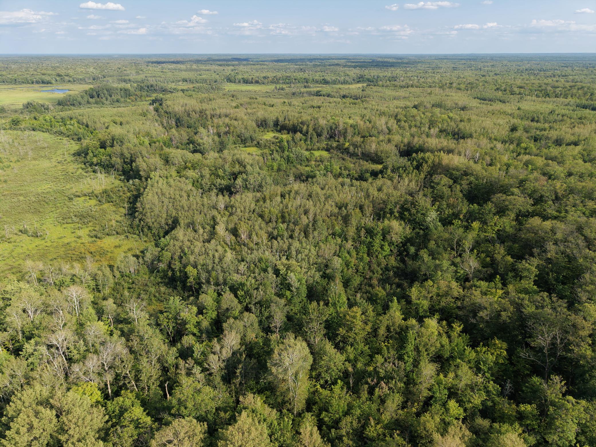 Tbd State Highway 27 Property Photo 4