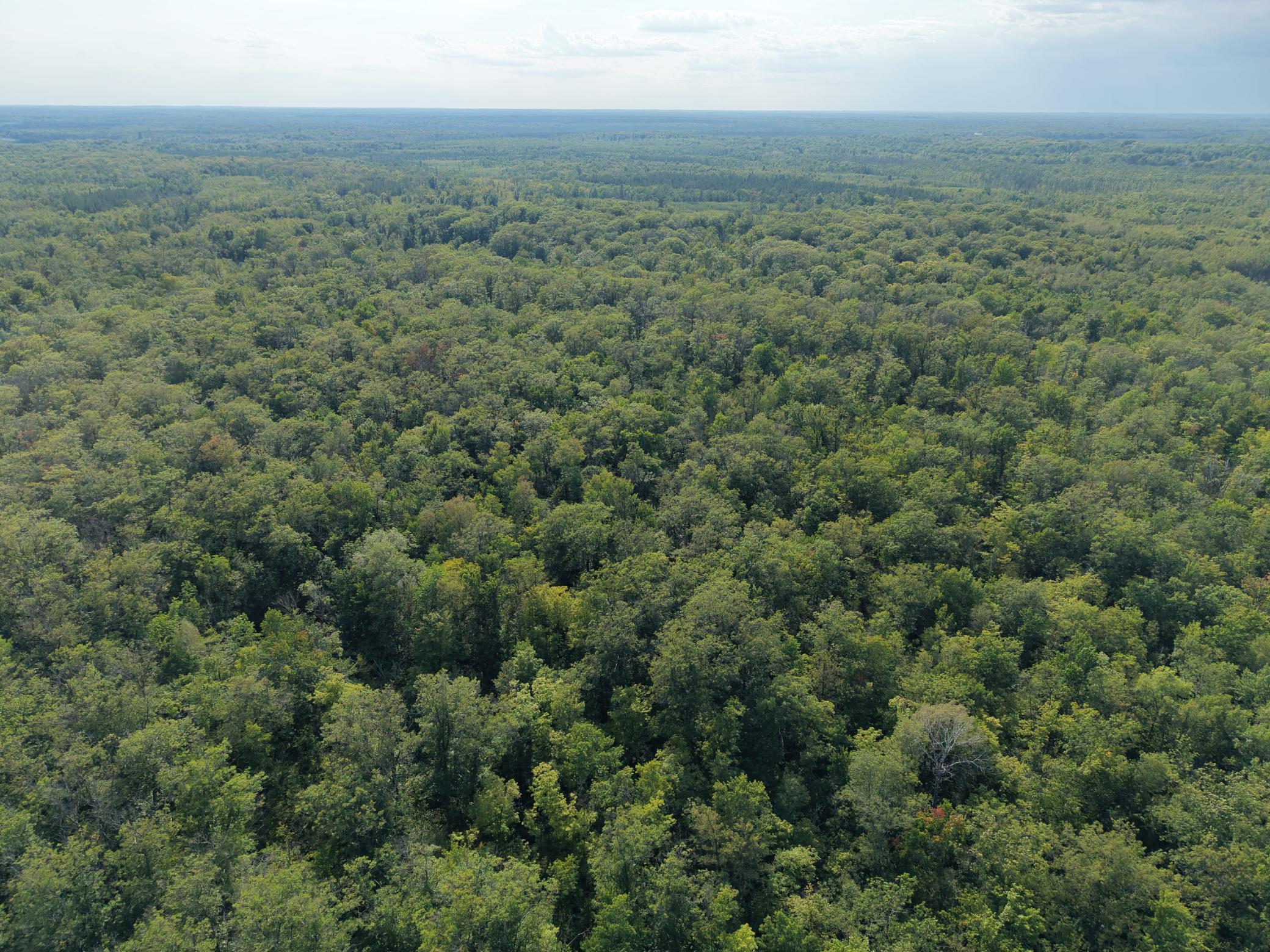 Tbd State Highway 27 Property Photo 5