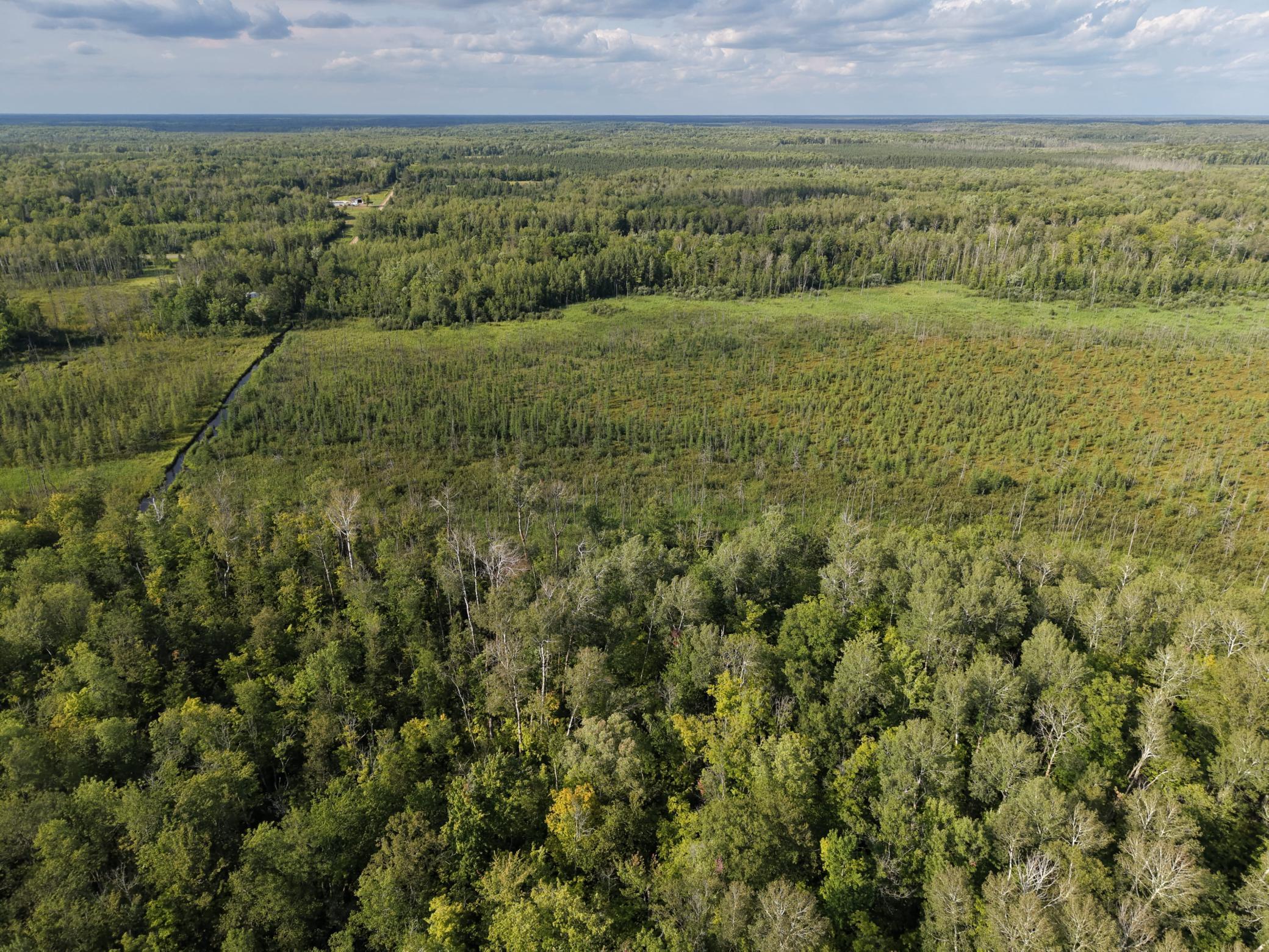 Tbd State Highway 27 Property Photo 6