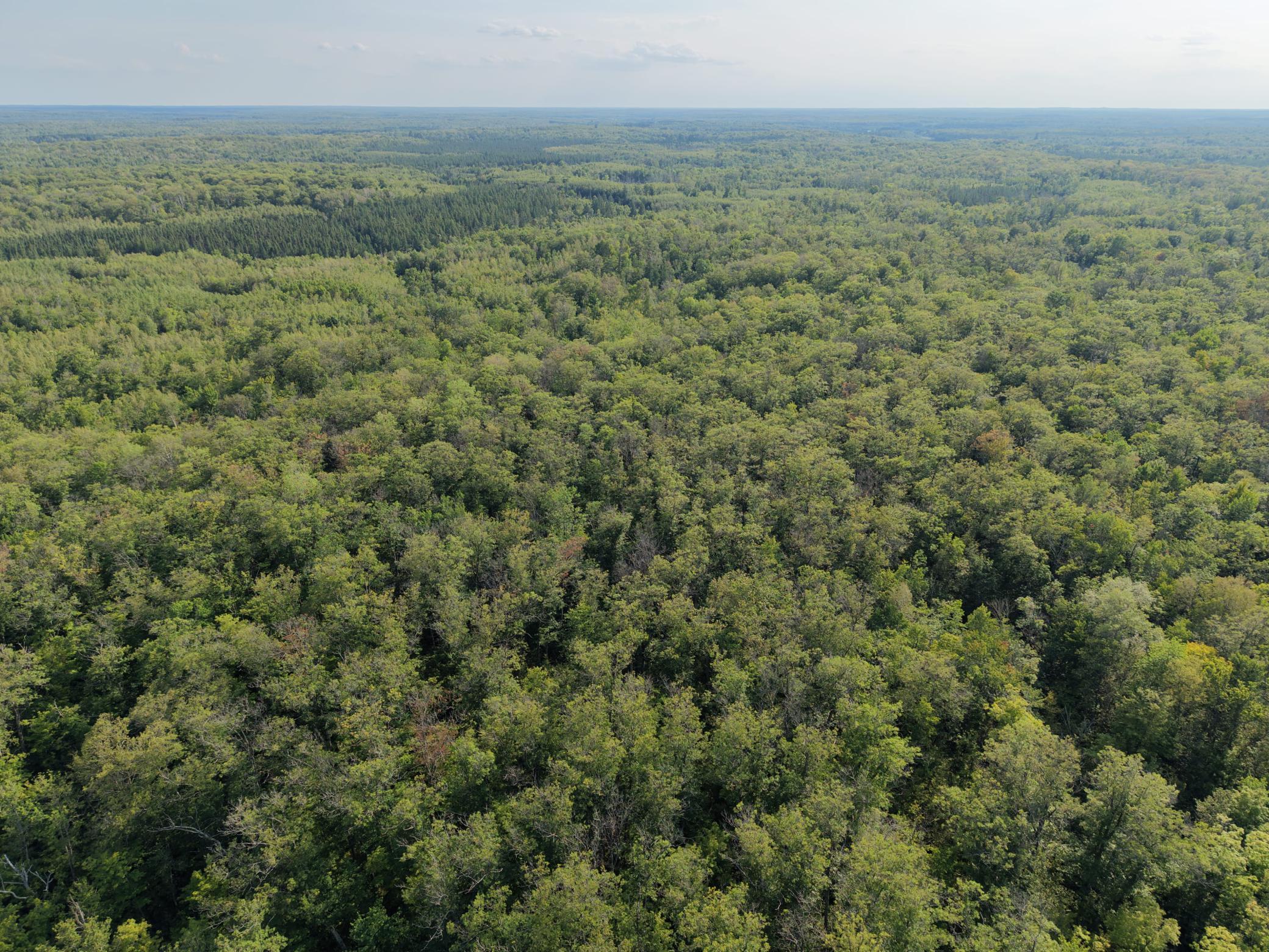 Tbd State Highway 27 Property Photo 7