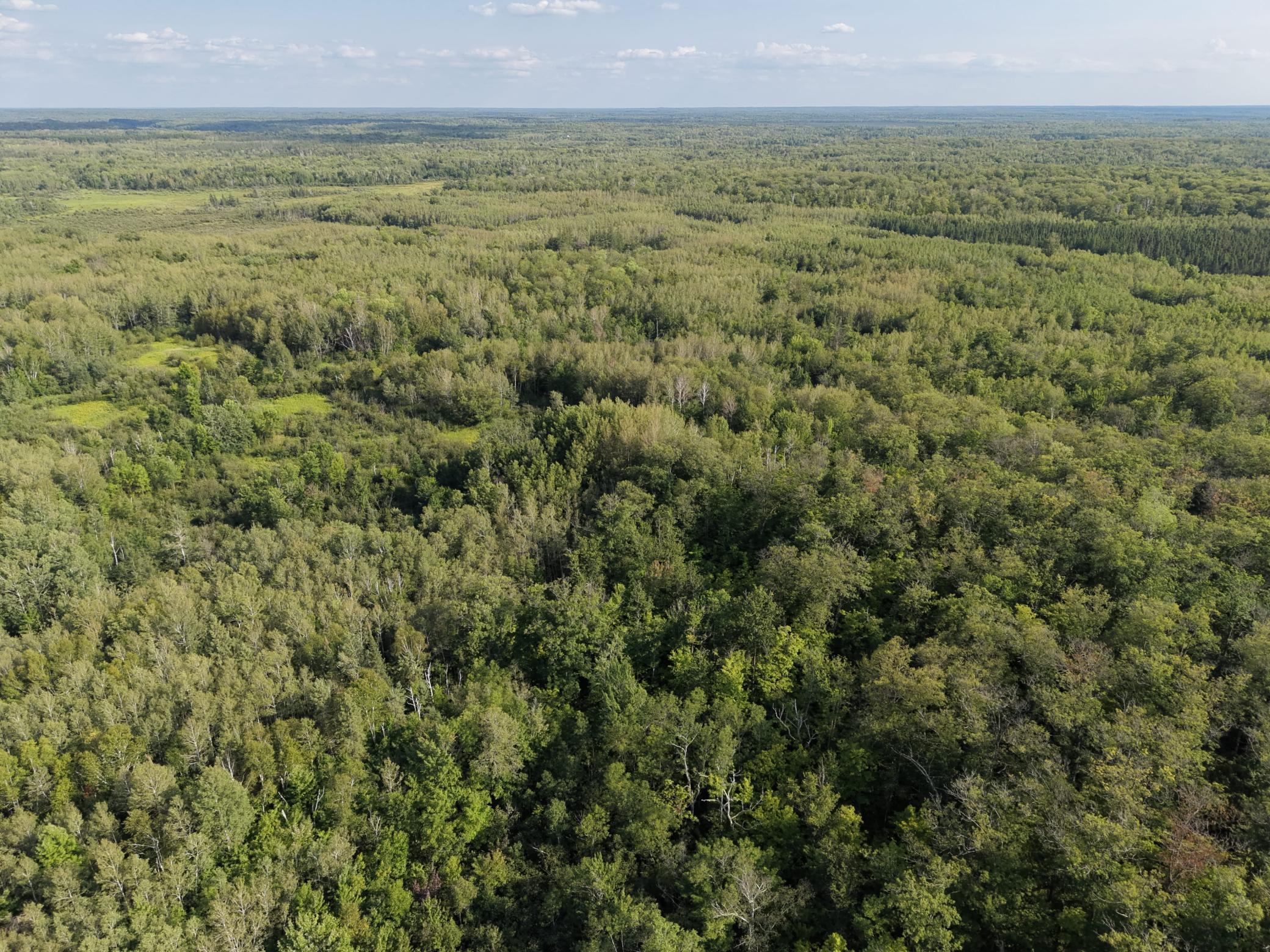 Tbd State Highway 27 Property Photo 8