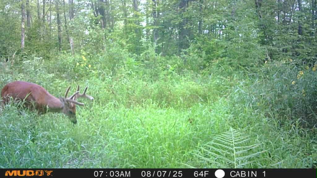 Tbd State Highway 27 Property Photo 22