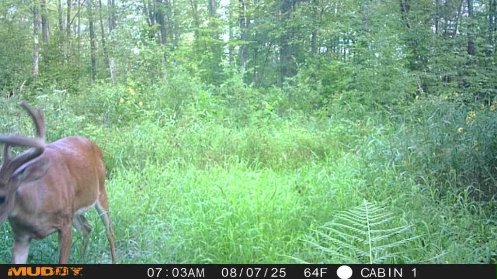 Tbd State Highway 27 Property Photo 23