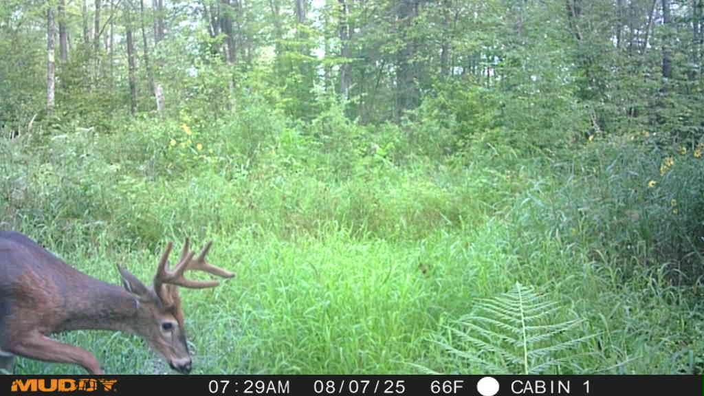 Tbd State Highway 27 Property Photo 24
