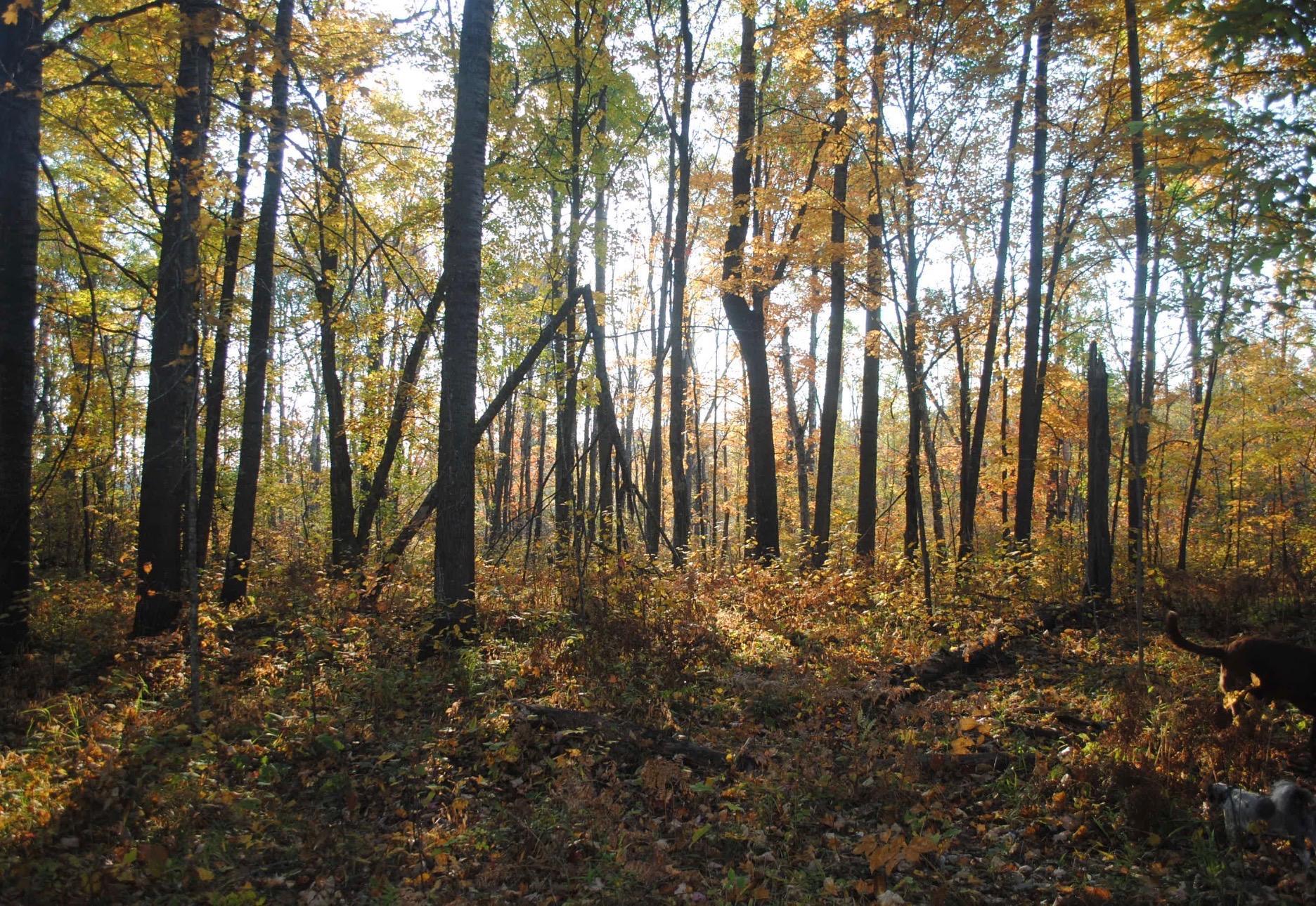 Tbd State Highway 27 Property Photo 26