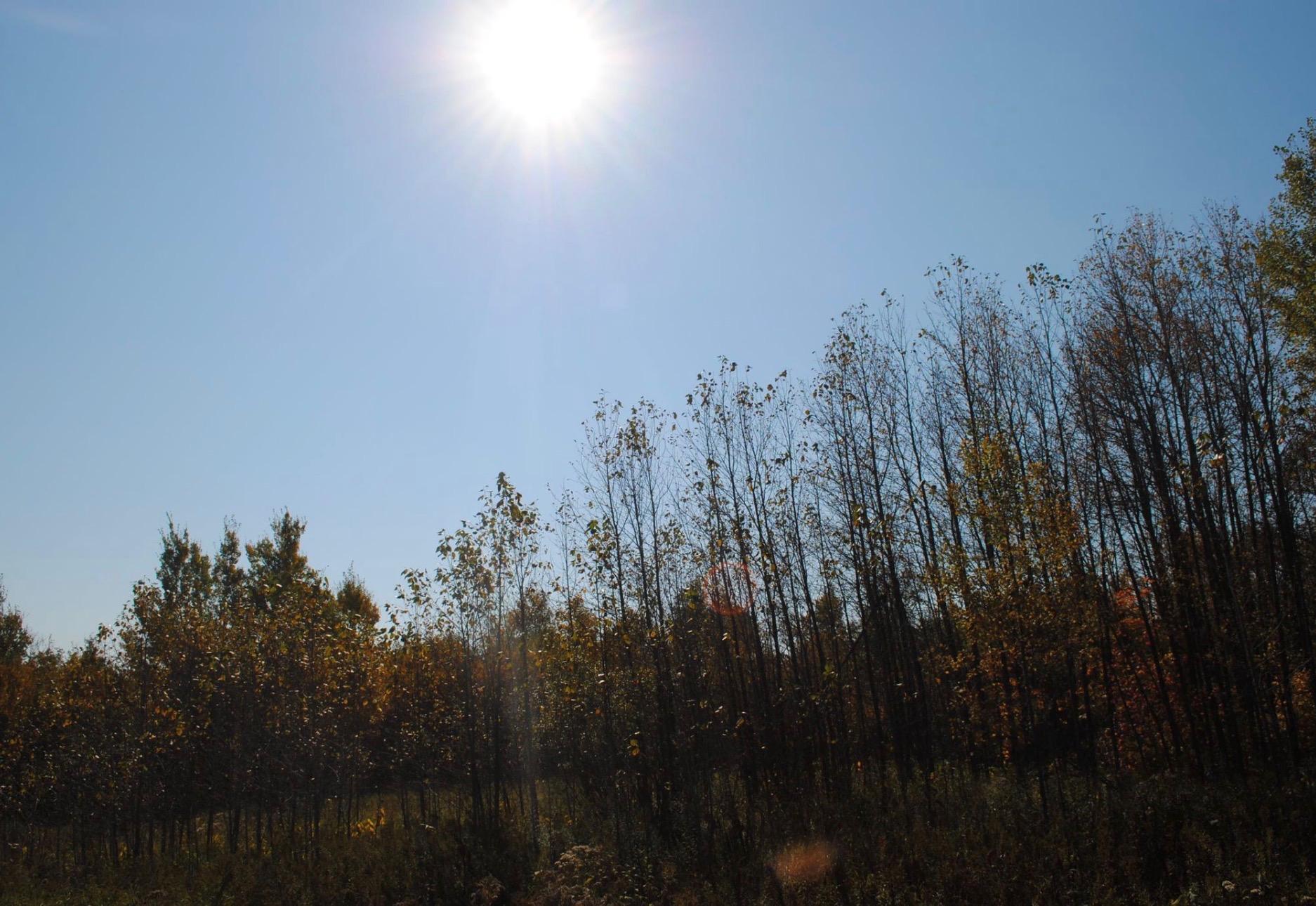 Tbd State Highway 27 Property Photo 29
