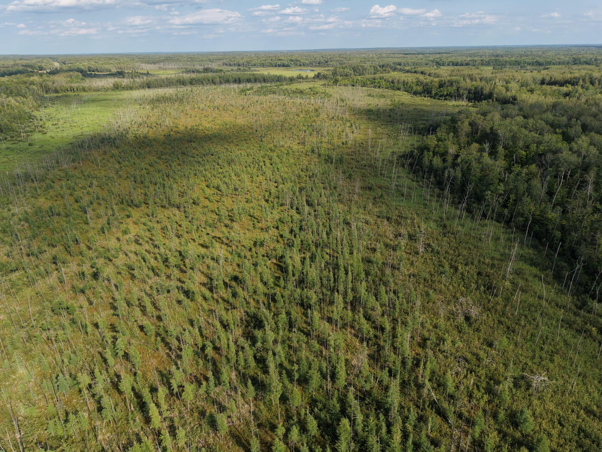 Tbd State Highway 27 Property Photo 41