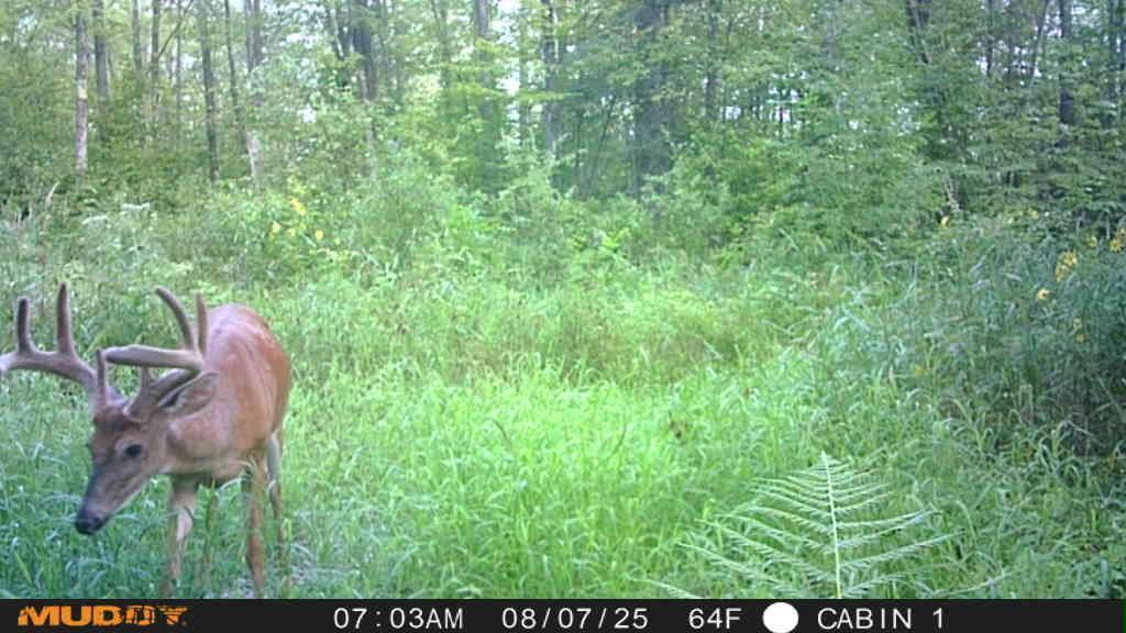 Tbd State Highway 27 Property Photo 52