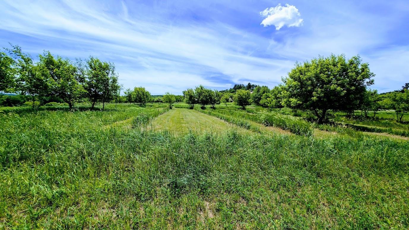 407 23rd Street Property Photo 59