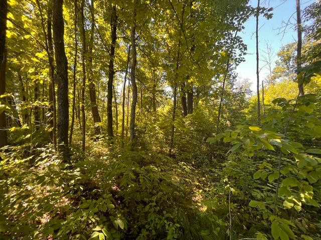Lot 1 County Road Bb Property Photo 6