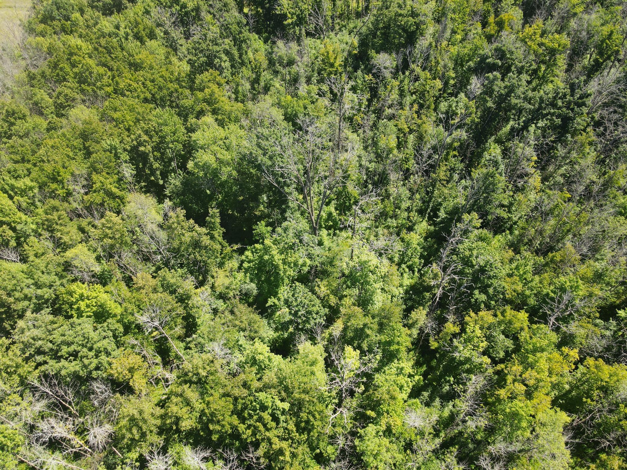 Lot 1 County Road Bb Property Photo 9