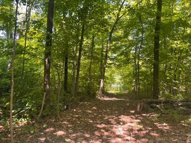 Lot 2 County Rd Bb Property Photo 2