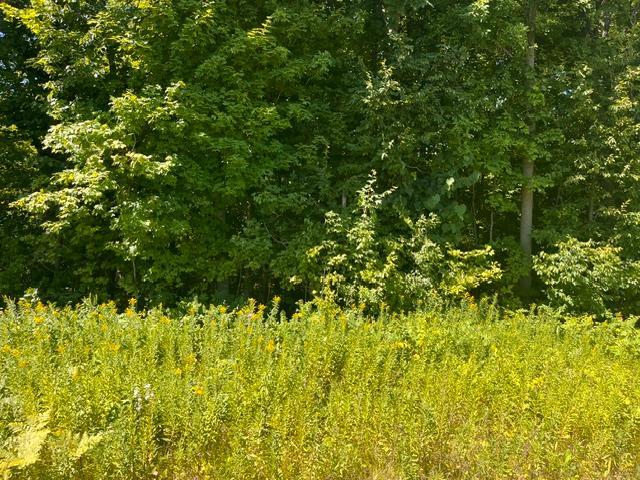 Lot 2 County Rd Bb Property Photo 3