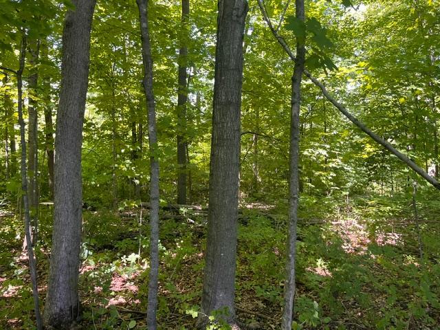 Lot 2 County Rd Bb Property Photo 4